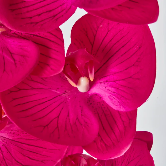 Screen Shot 2026-04-02 at 9.05.21 pm.png