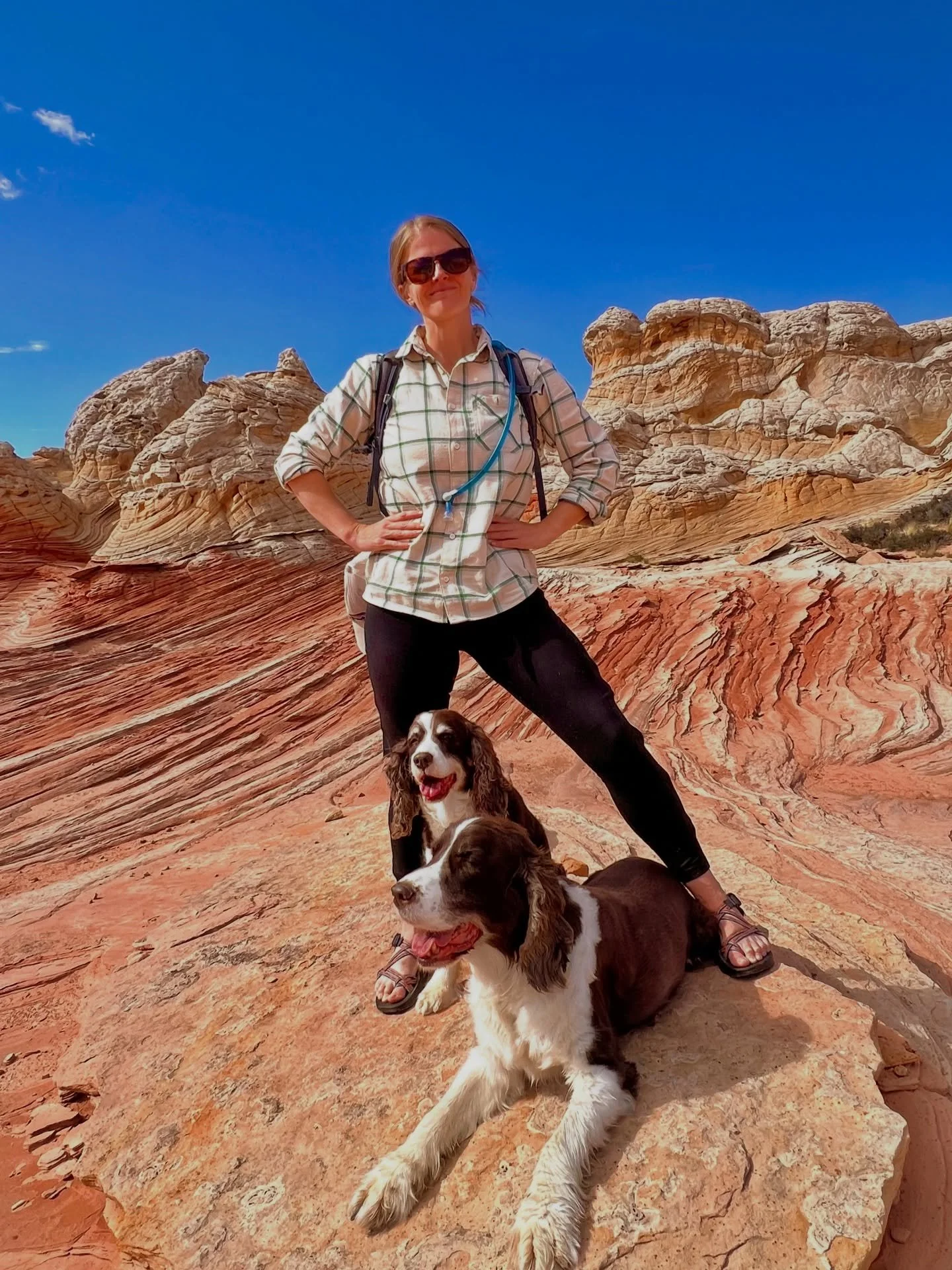 i&rsquo;ve now raised dogs from puppies and i&rsquo;ve fostered dogs and one is not better than the other. they&rsquo;re just&hellip; different experiences of loving a dog.

with mac and polly, we started when their age was still counted in weeks. ev