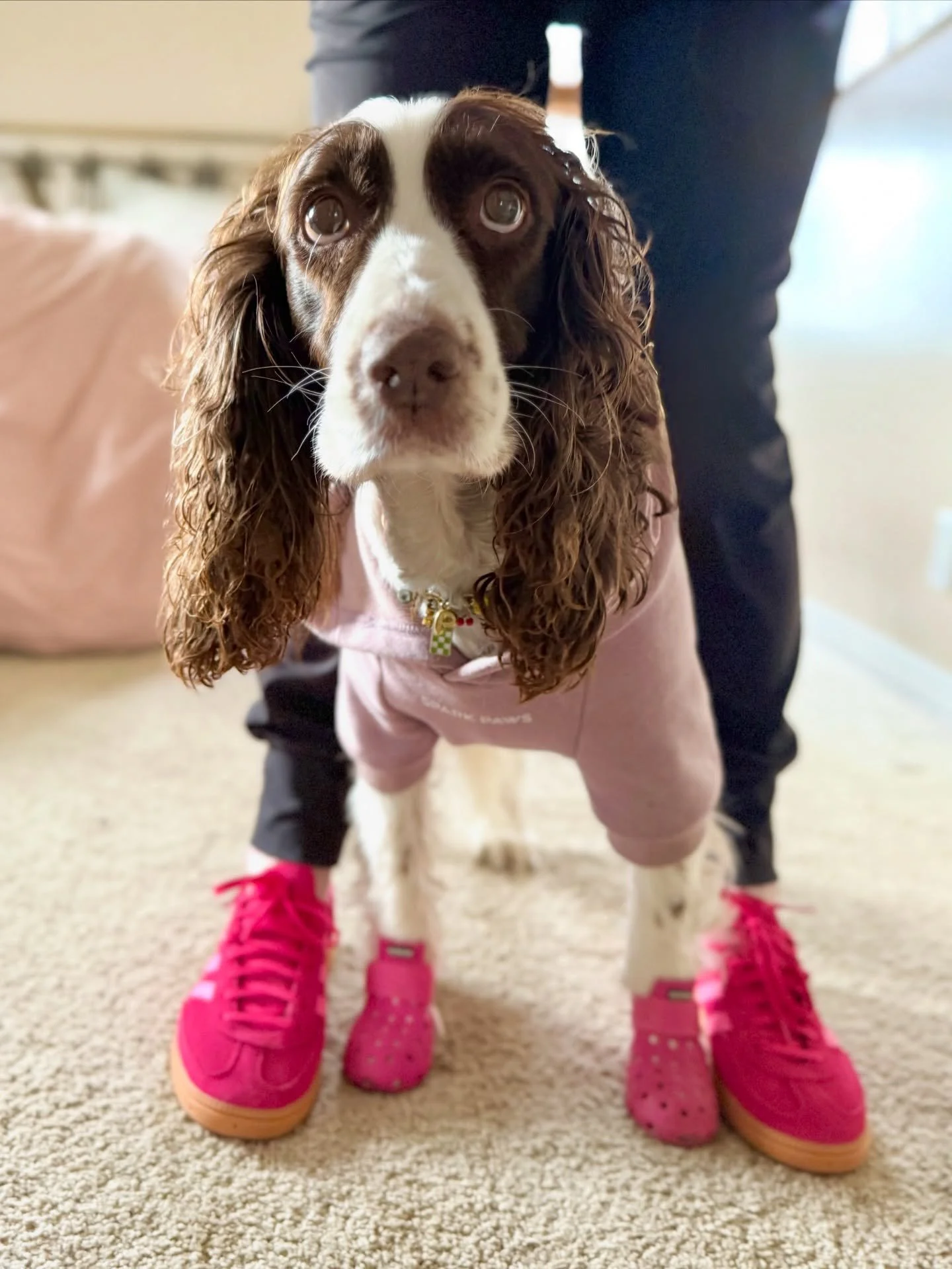 this is not, NOT a hostage situation&hellip; while i was thinking wednesday meant hump day. to mom it means - we wear pink 🩷.

she says she&rsquo;s not a regular mom, she&rsquo;s a cool mom. i think this is how i ended up here &hellip; coordinated a