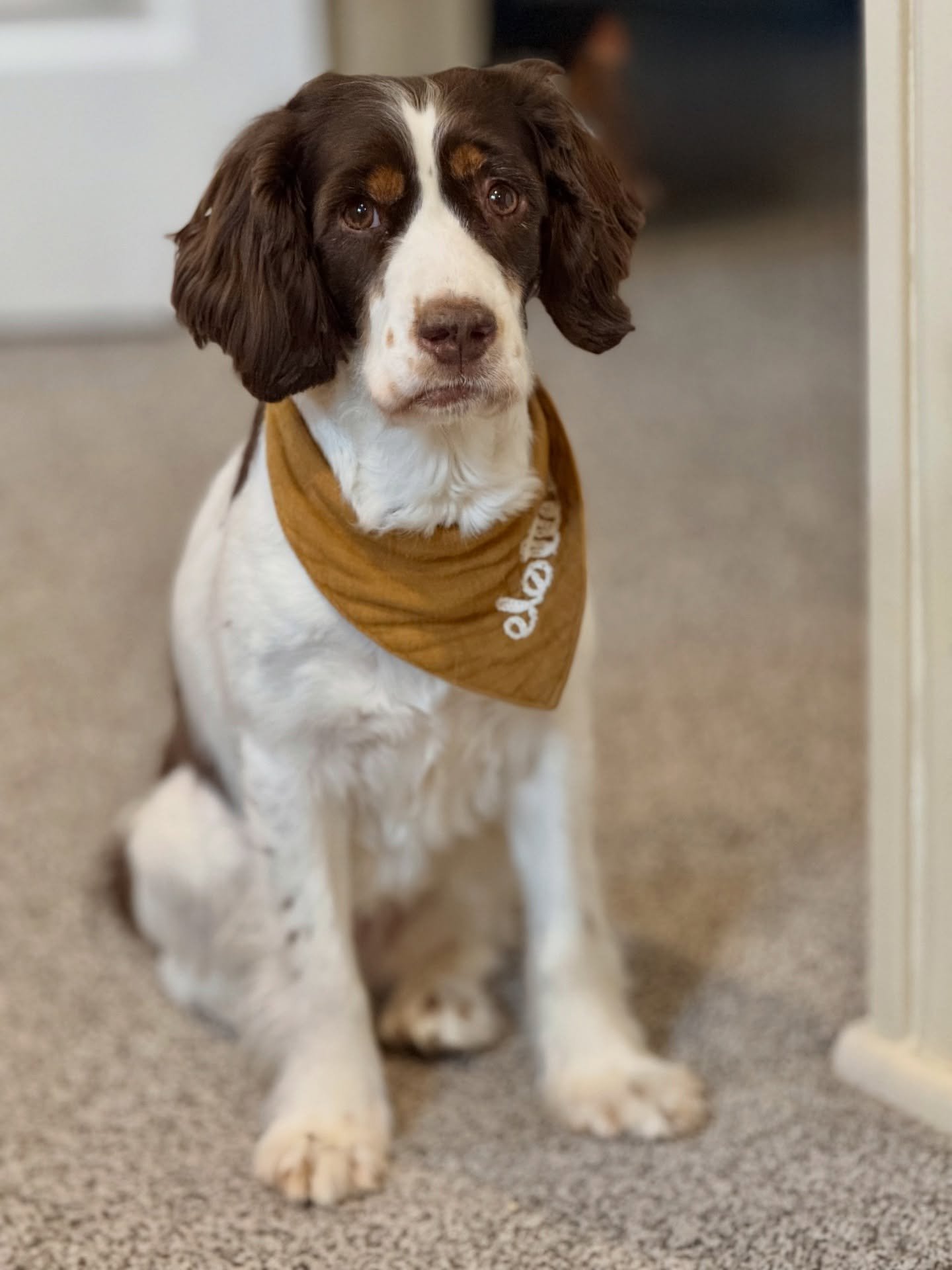 an update&hellip; my hobbies now include ice packs, canes, crutches, and evaluating the structural integrity of every chair in the house before sitting down.

the next six weeks are looking like close-to-home adventures featuring a rotating cast of w