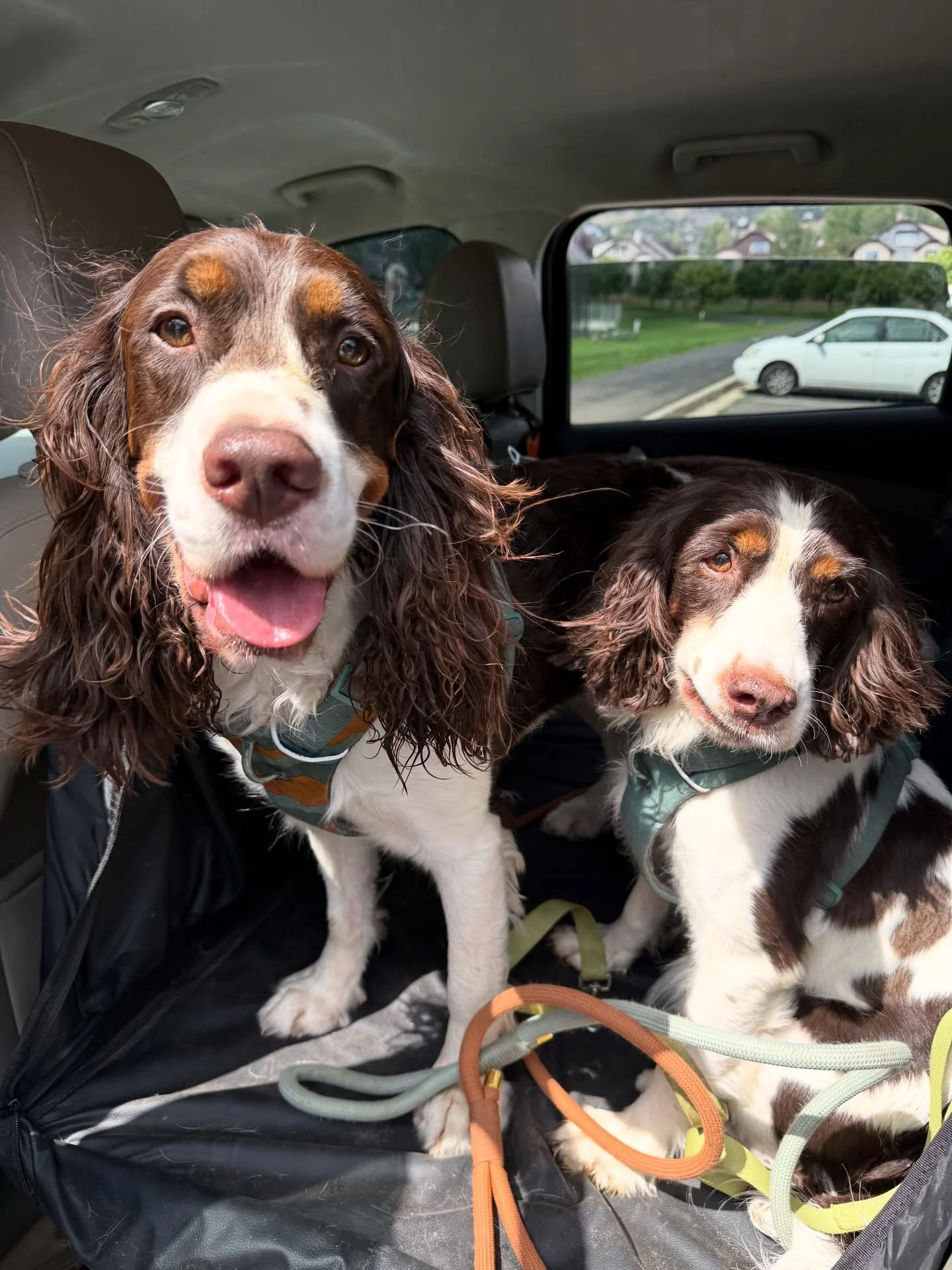 the twins 🤎

same age
same eyebrows
same overlapping relatives 😳

one is a genetic marvel&hellip;

the other&hellip; is&hellip;. a genetic marvel in a &ldquo;we trusted the process&rdquo; kind of way&hellip;😆

perfectly imperfect twin terrors. wou