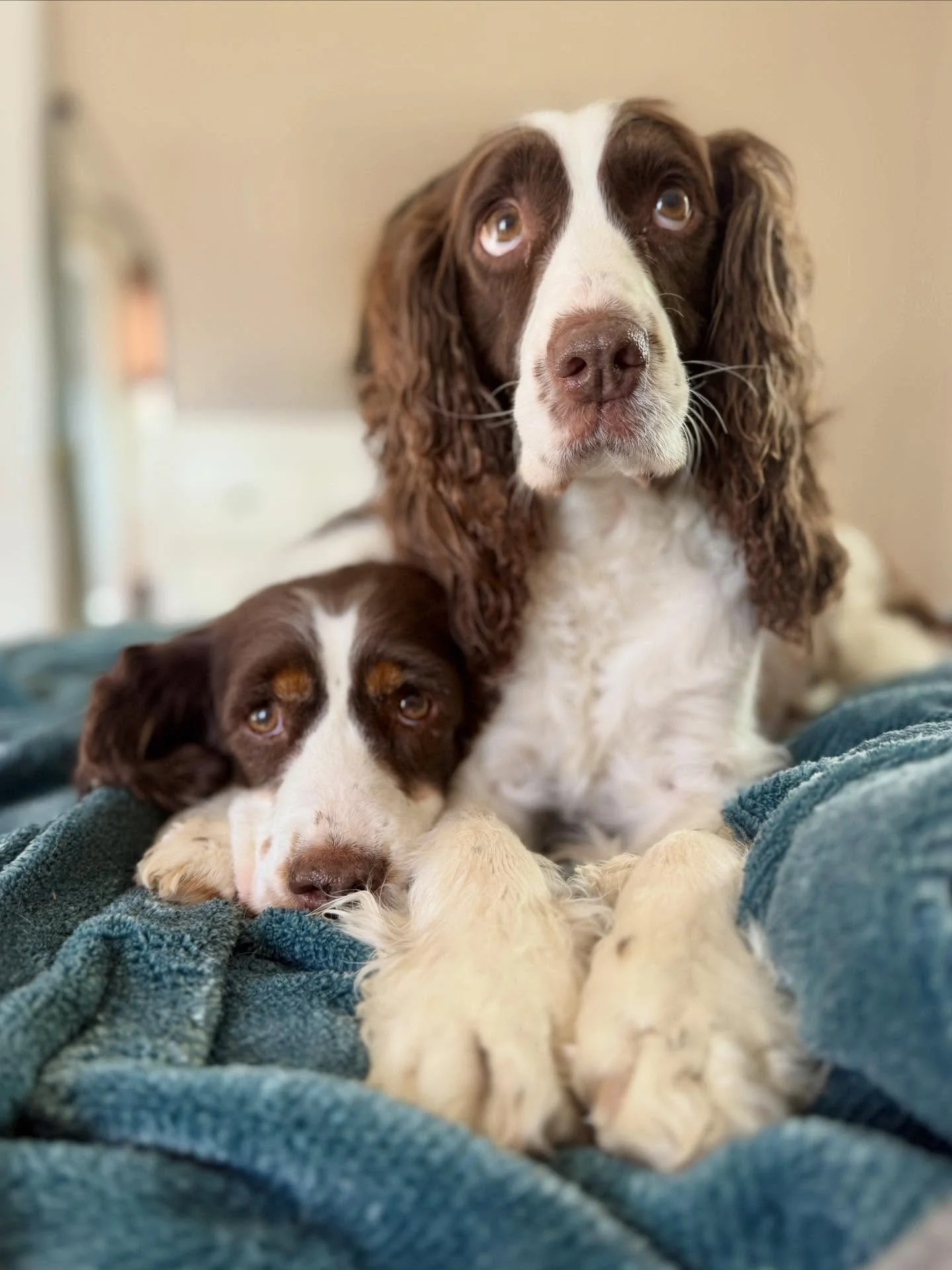 one is asking a question with her eyes like she&rsquo;s waiting to understand&hellip; like there&rsquo;s a right answer somewhere&hellip; we just don&rsquo;t know the question 😂

the other already made a decision and honestly&hellip; feels good abou