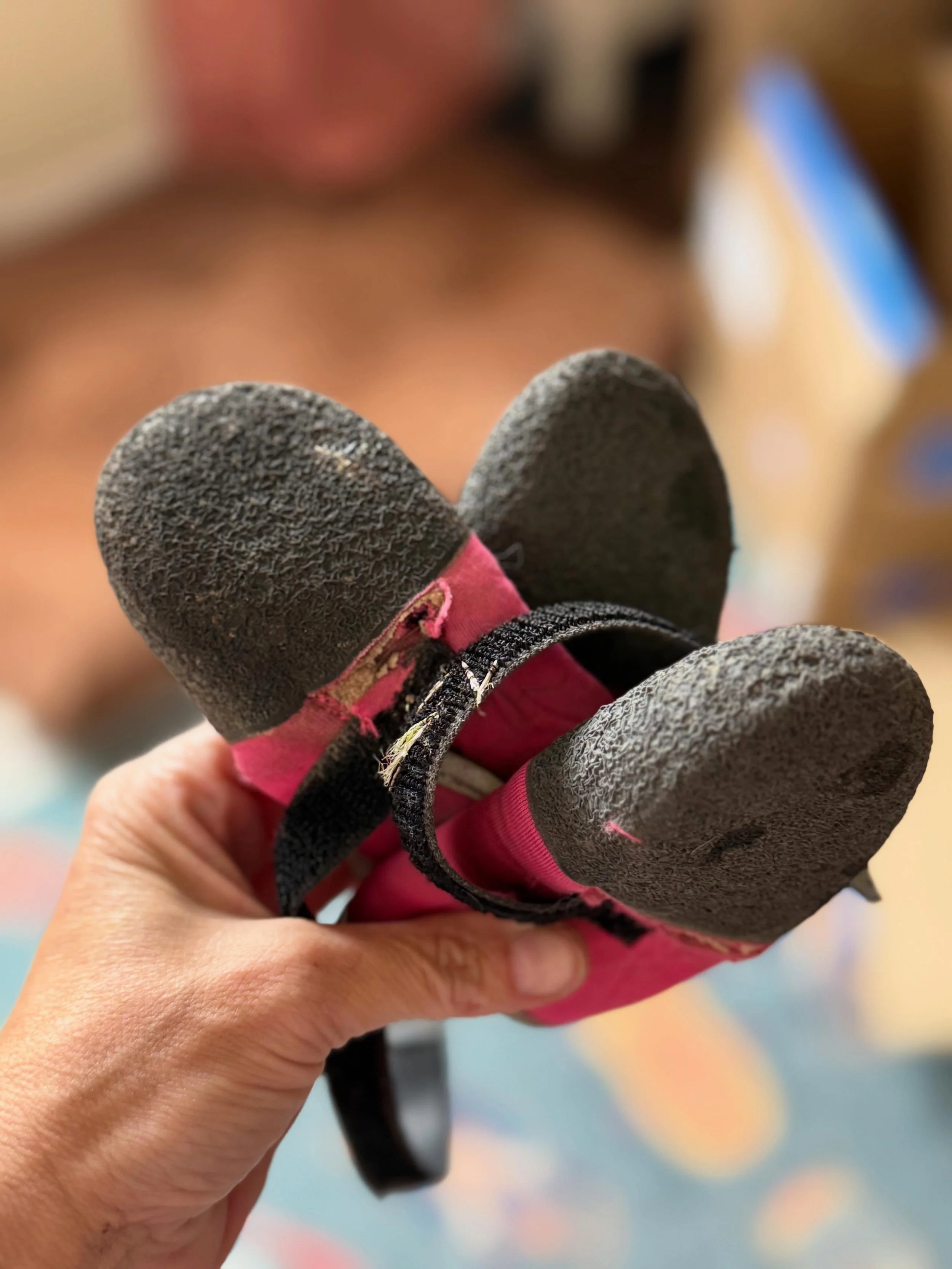 these little pink booties are retiring. rip. 🪦 

 it&rsquo;s funny how stuff becomes sentimental. i know they&rsquo;re just booties. but these little things have walked us through a version of penny that was scared of loud sounds, new places, moving