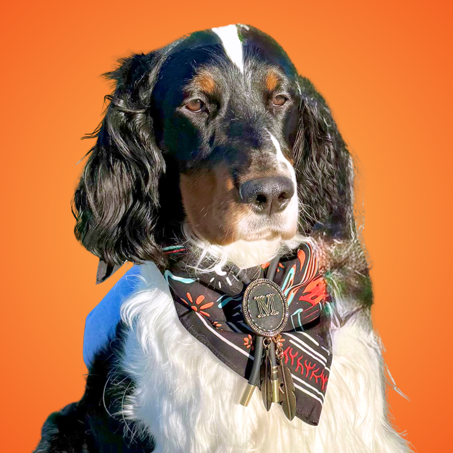 dog bolo, dog accessories, dog jewelry, gift for your dog