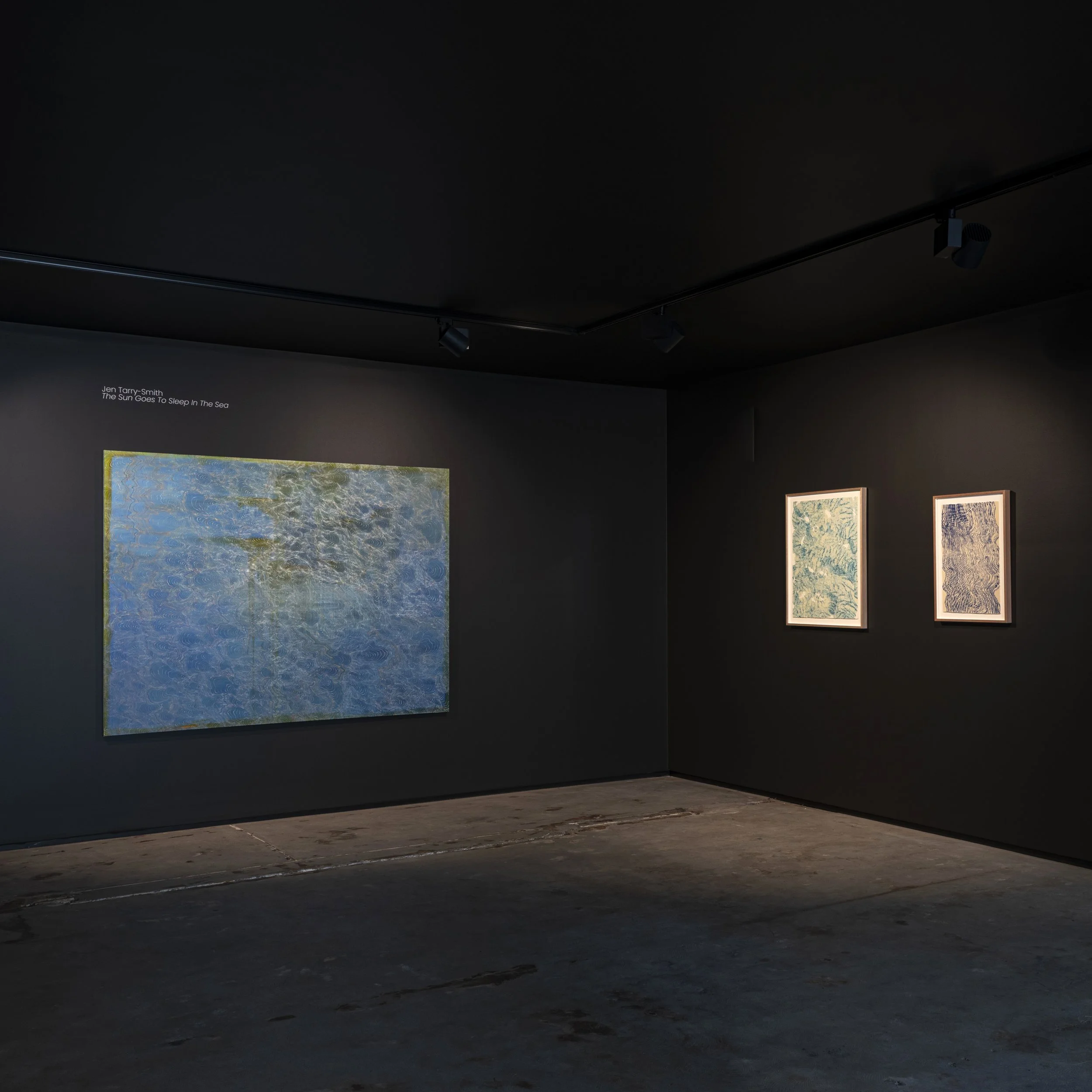 2026-JAN-BOOM GALLERY - JEN TARRY-SMITH INSTALL-6.jpg