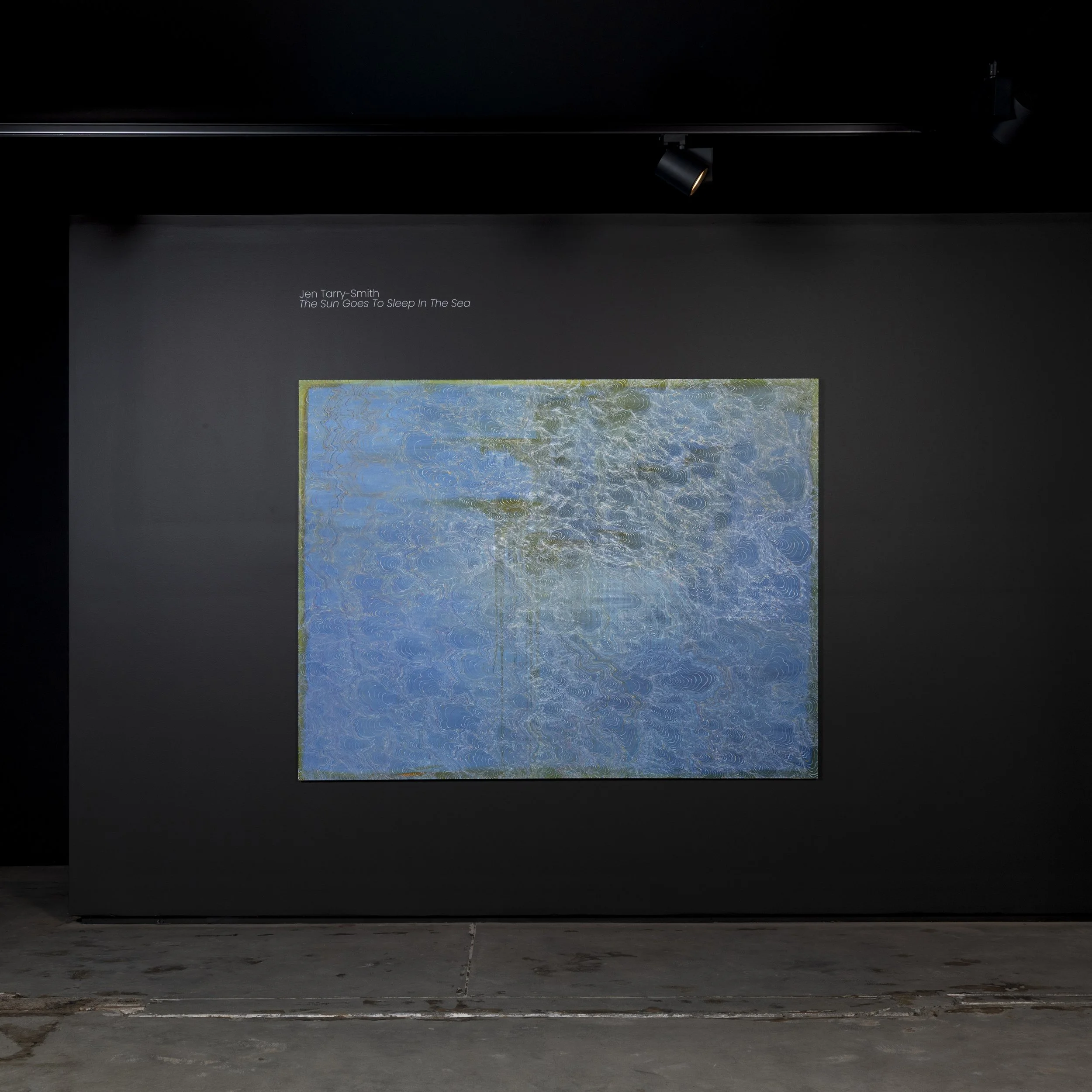 2026-JAN-BOOM GALLERY - JEN TARRY-SMITH INSTALL-23.jpg