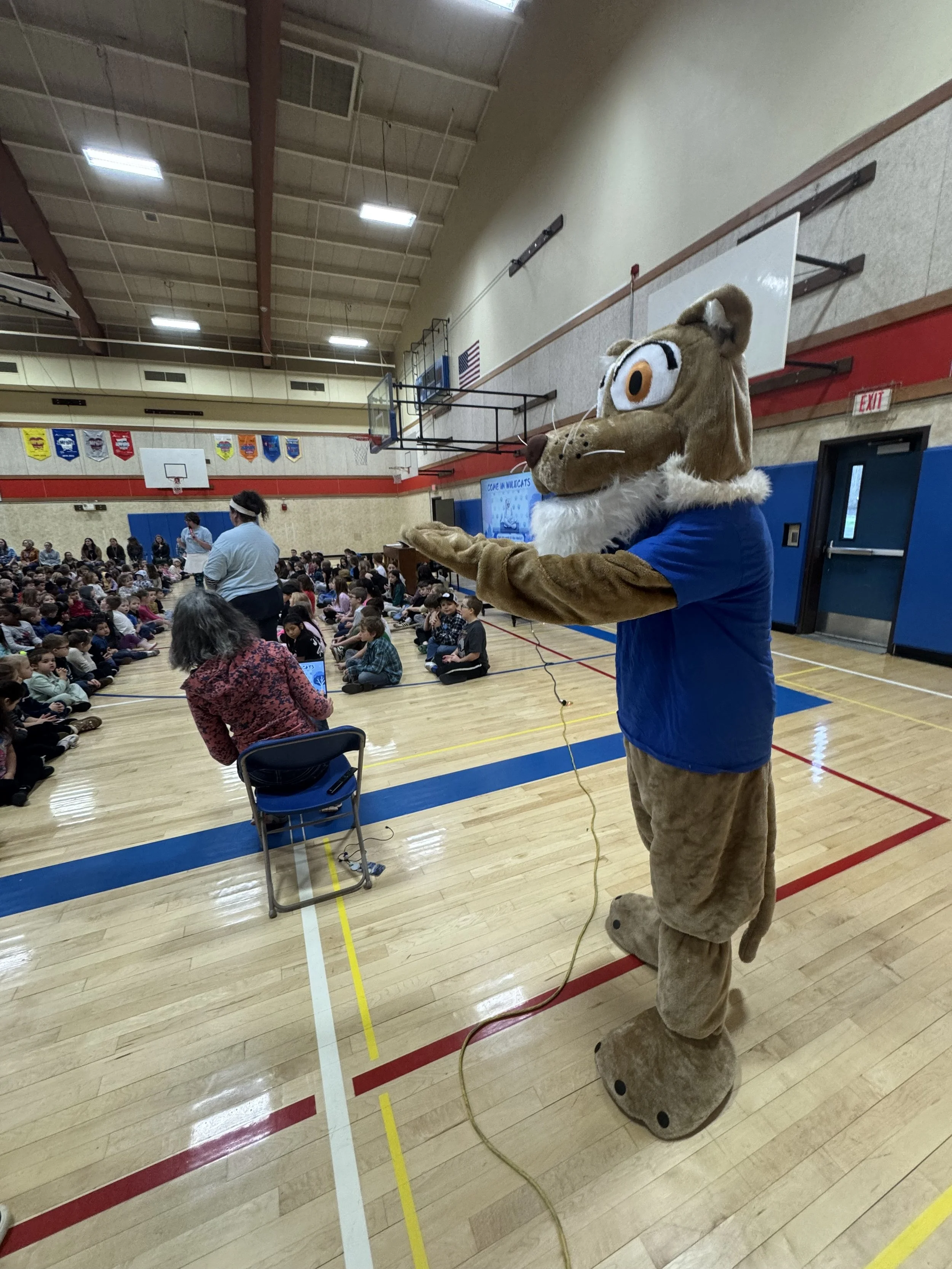 A person in a wildcat mascot costume addressing students in a school gymnasium.