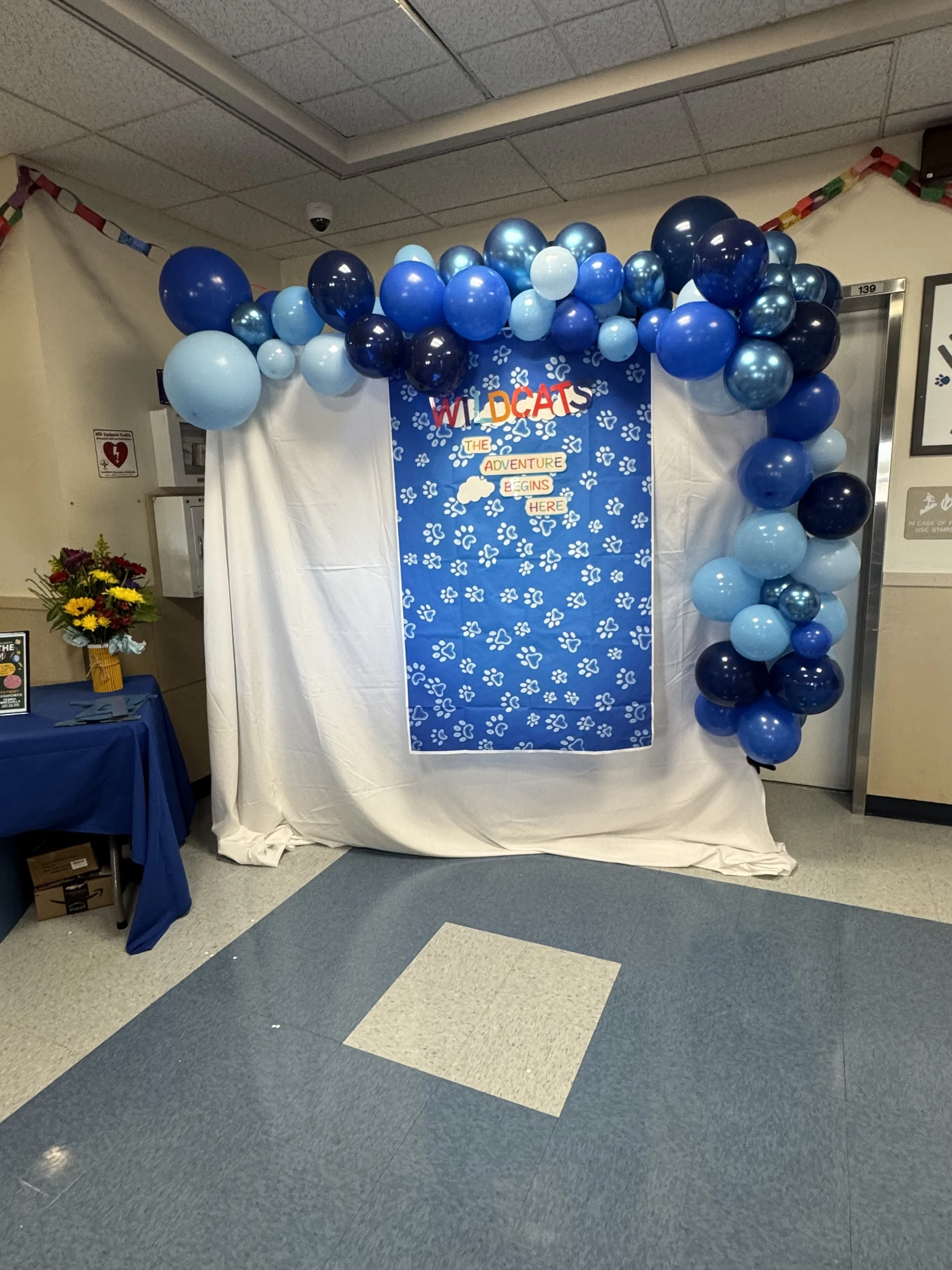 Decorative bulletin board with a blue background and white paw prints, surrounded by blue balloons, with the words "WILD CATS: THE ADVENTURE BEGINS HERE" in colorful letters.