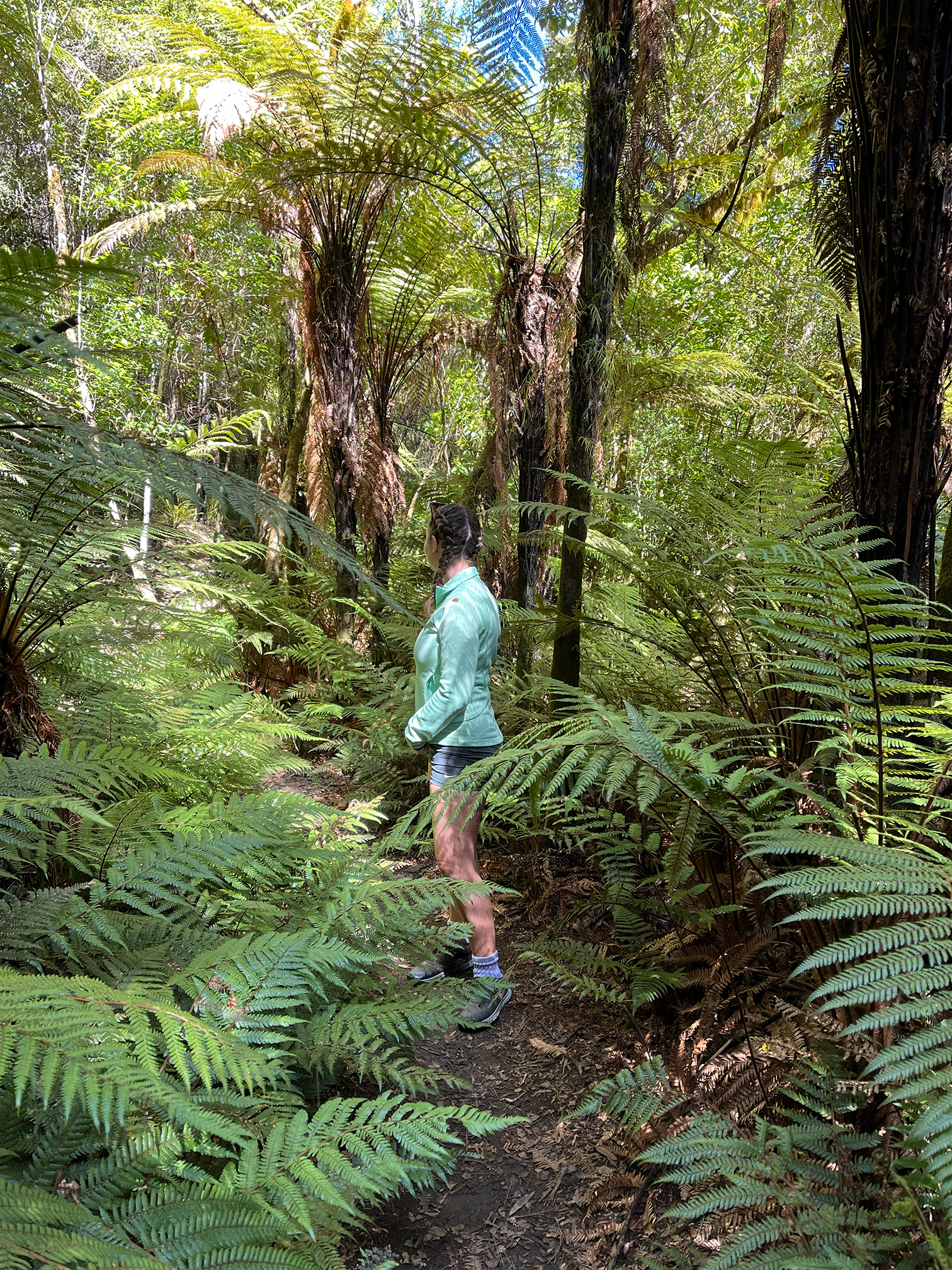 A person with braided hair, wearing a light green jacket, shorts, and hiking shoes, standing on a forest trail surrounded by lush green ferns and tall trees.