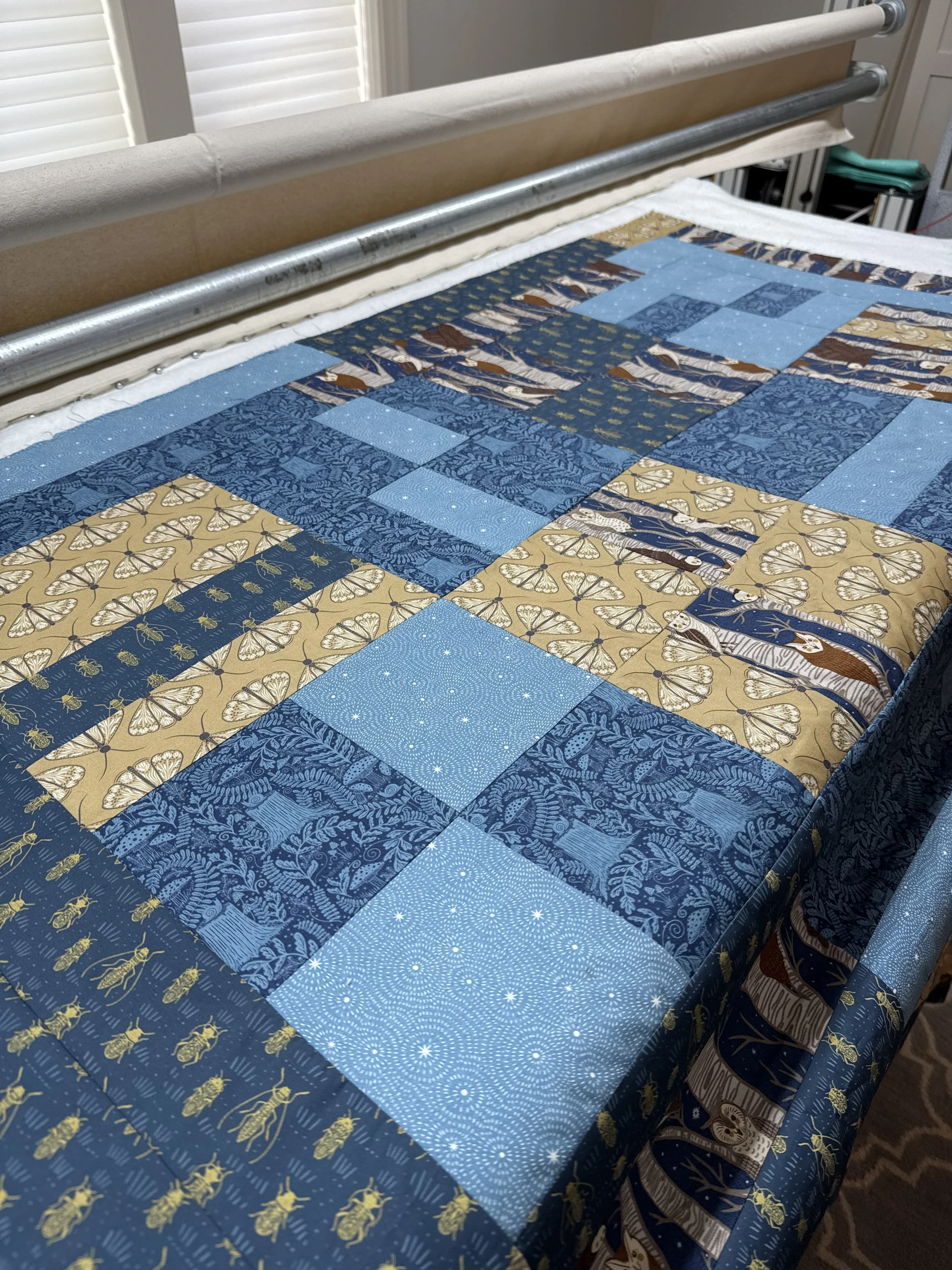 Fabulous Moth Fabric from Sharon's Attic Quilt Shop.  