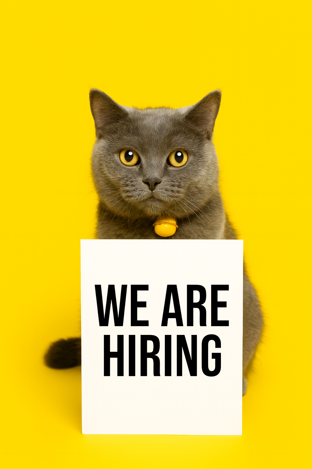 Gray cat with yellow eyes and collar holding a sign that says 'We Are Hiring' against a yellow background.