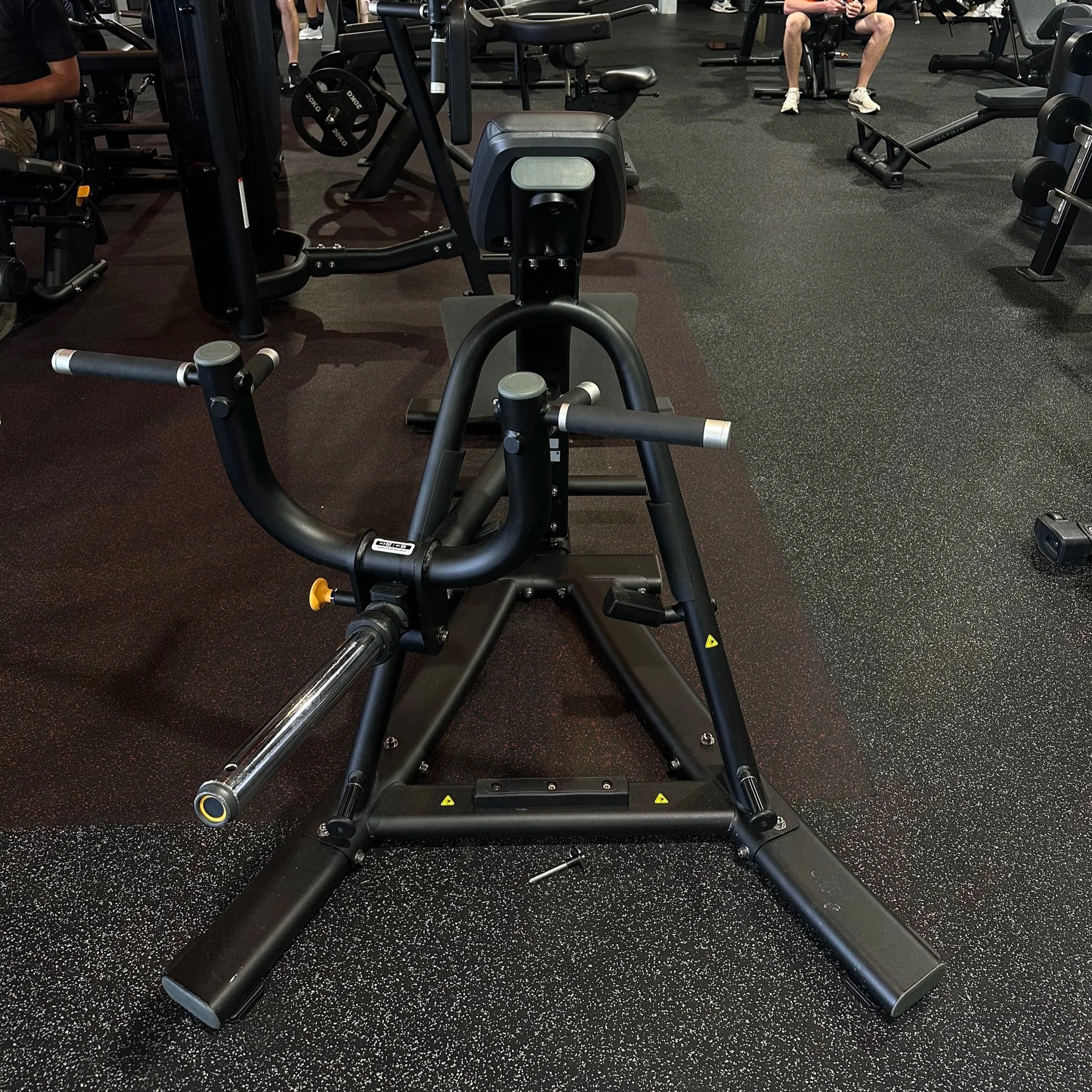 CHEST SUPPORT ROW.jpg