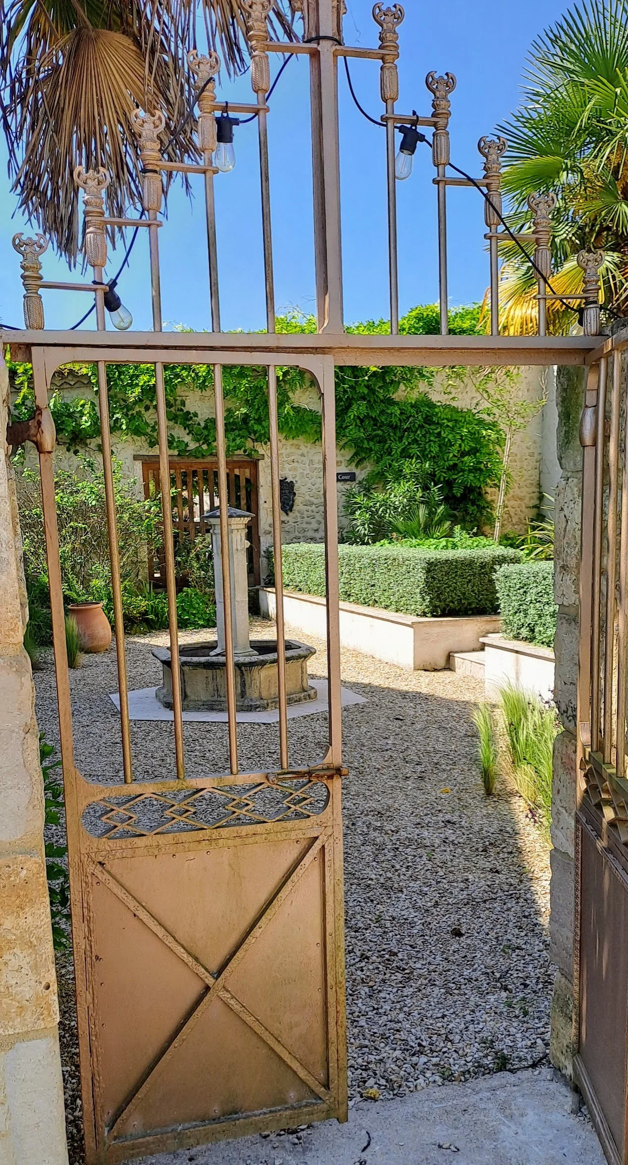palm-courtyard-garden-design-project-charente-france.jpg