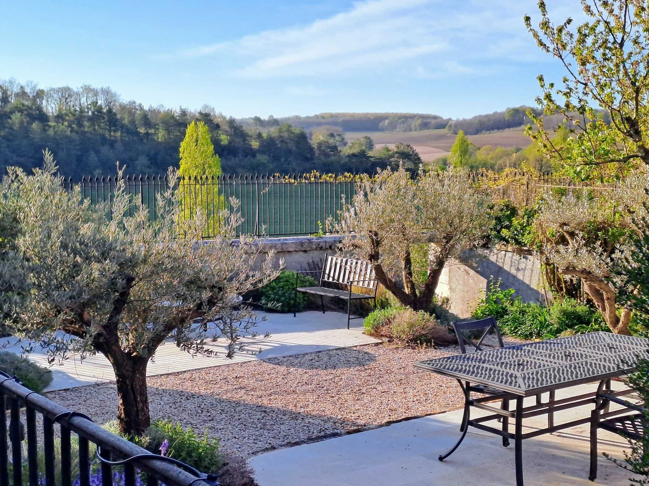 Mediterranean garden with olive trees and stone paving