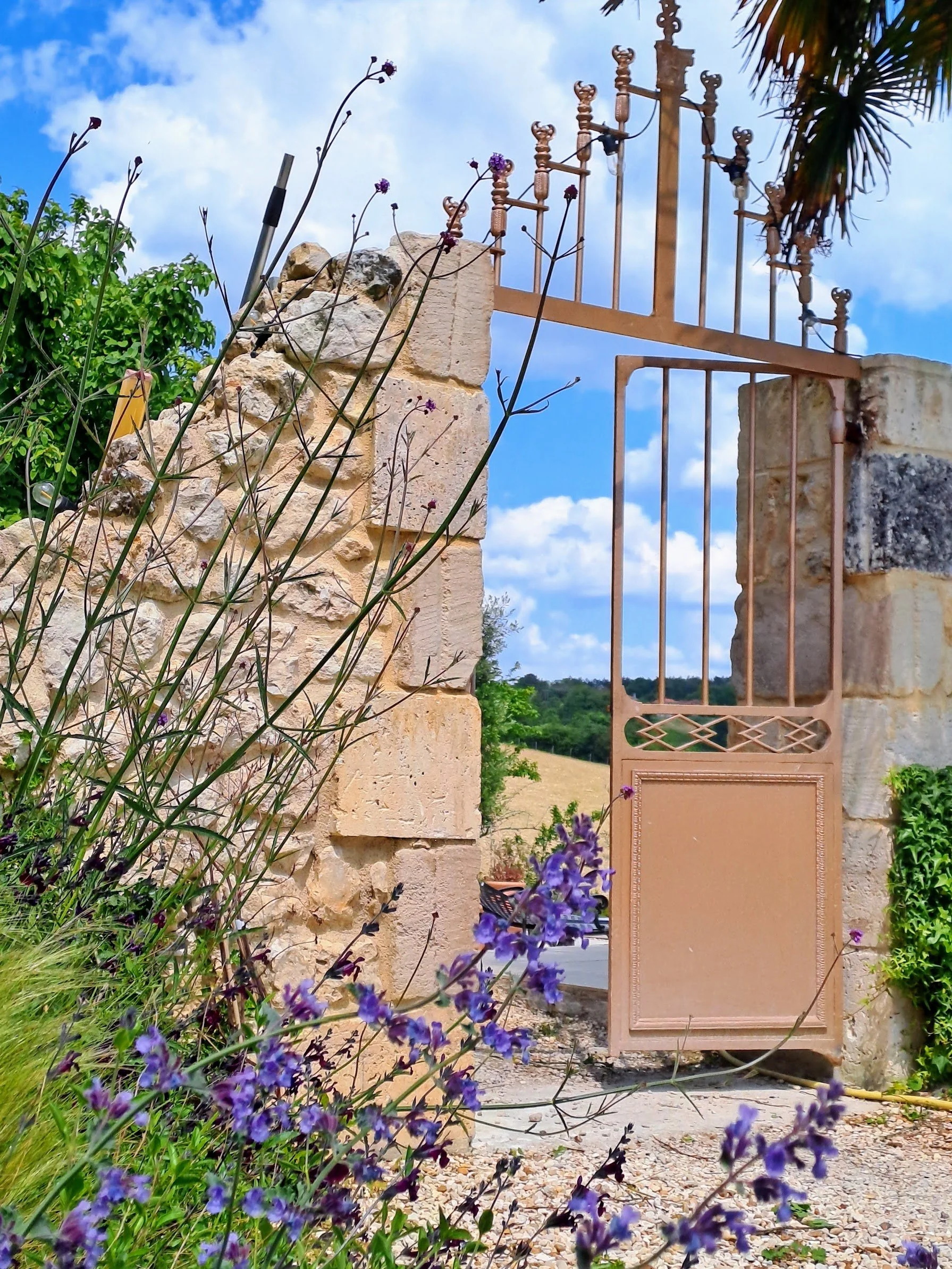 Bespoke metal gate opening into palm courtyard garden