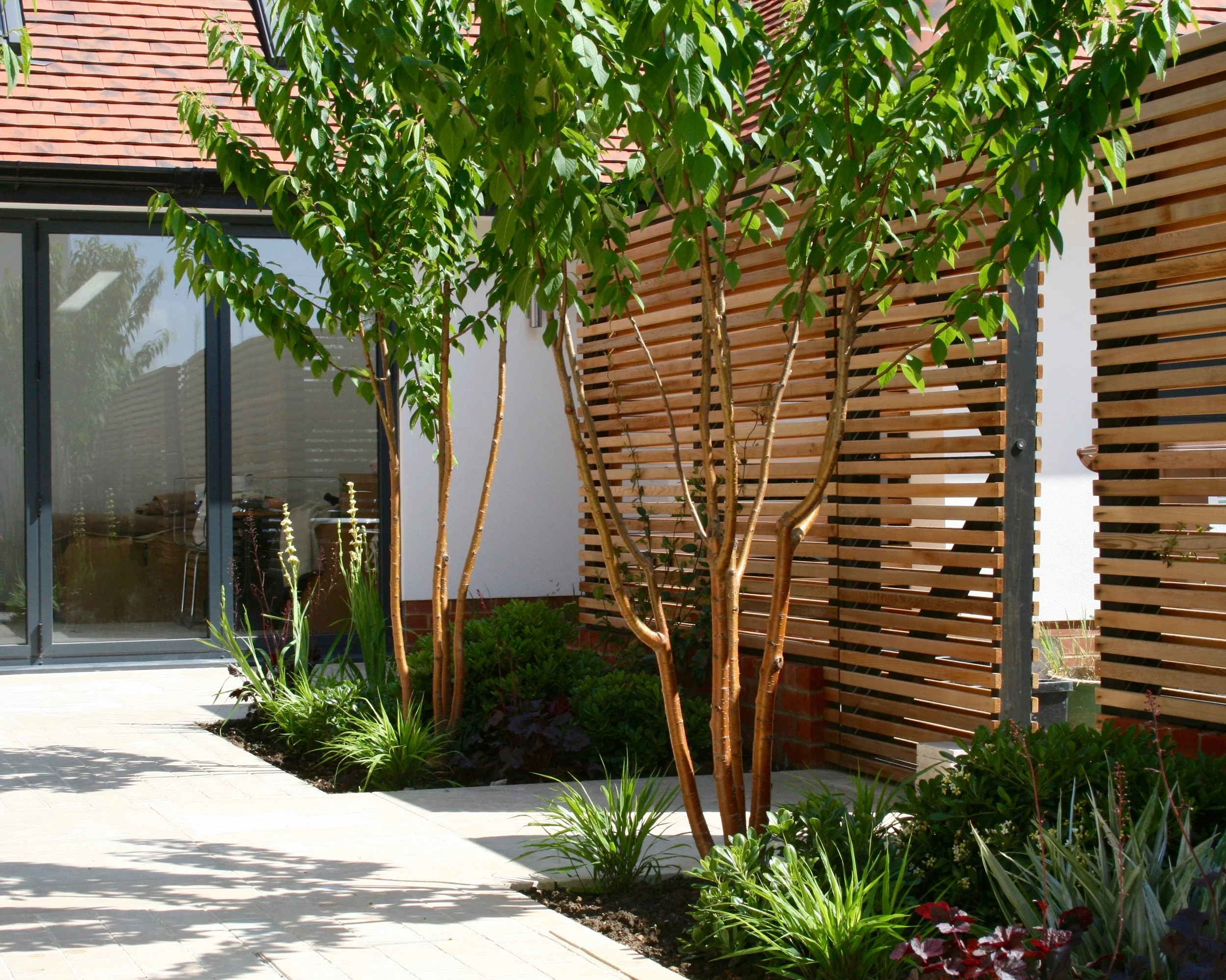 Cedar slatted screen and planting in modern courtyard