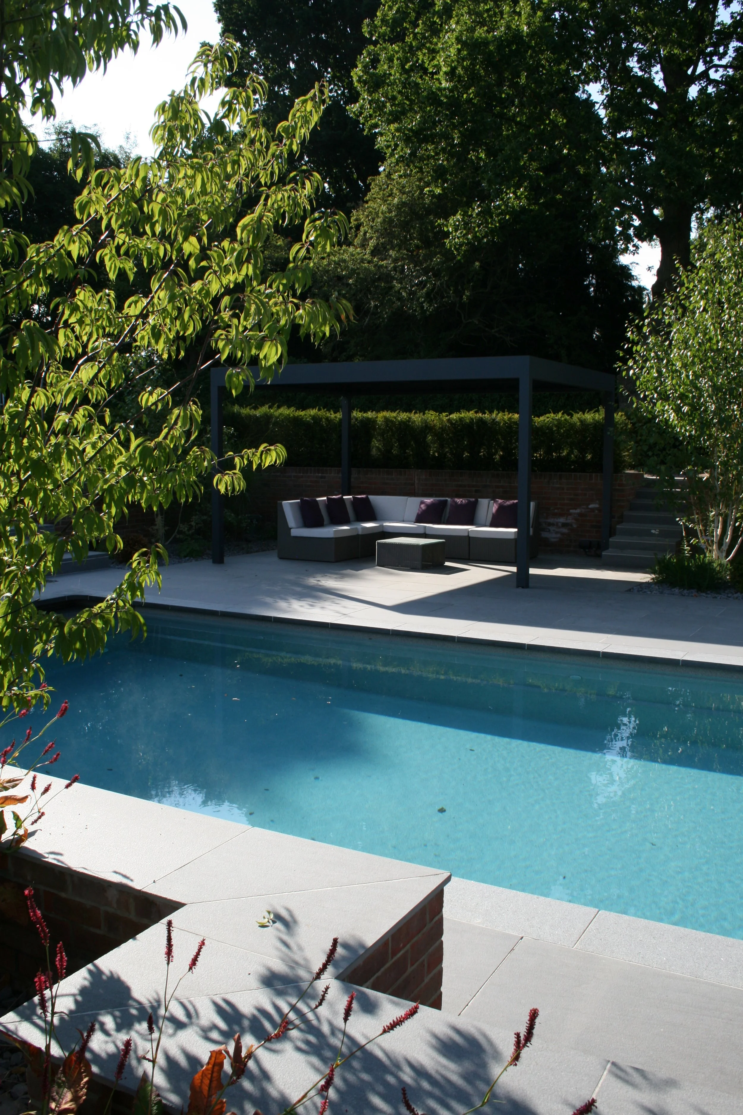 Contemporary garden with swimming pool and pergola