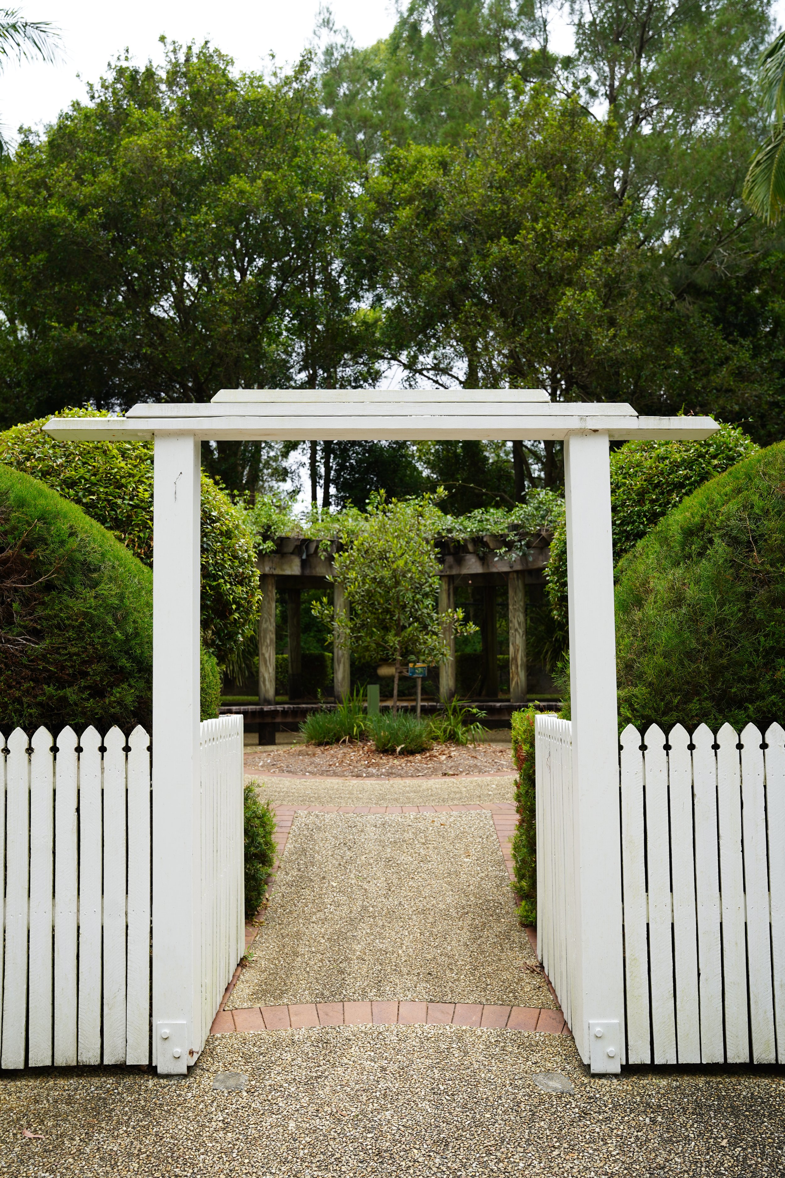 View of a garden with a white fence and gate, leading to a pathway and a wooden structure surrounded by green bushes and trees.