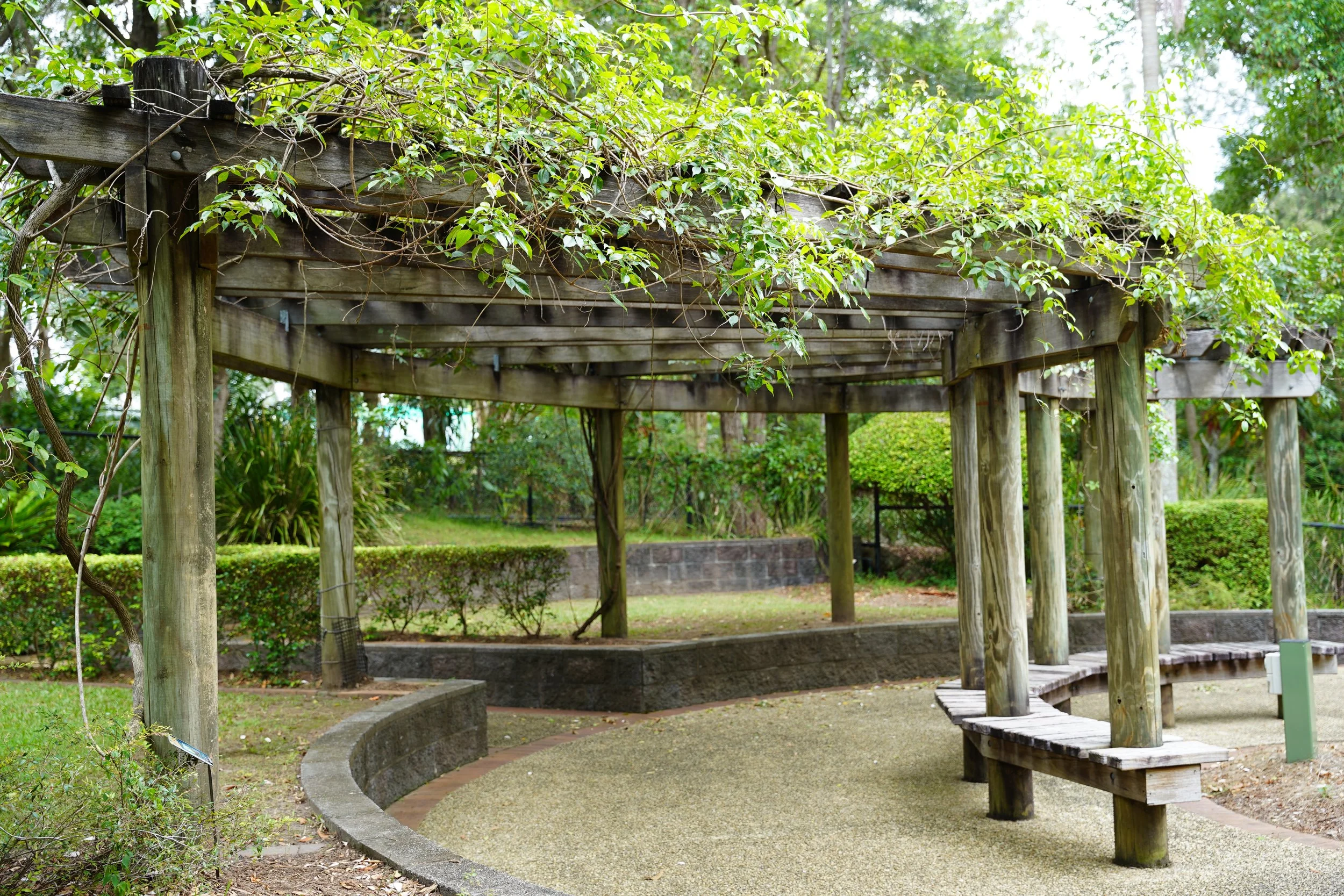 Wooden pergola with green vines growing on top, situated in a garden with bushes and trees in the background, and a curved gravel pathway underneath.