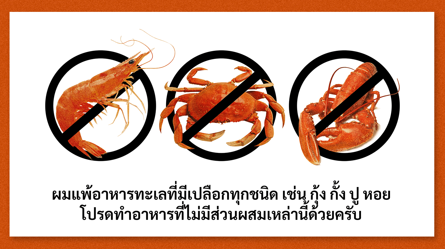 shrimp1 (1).png