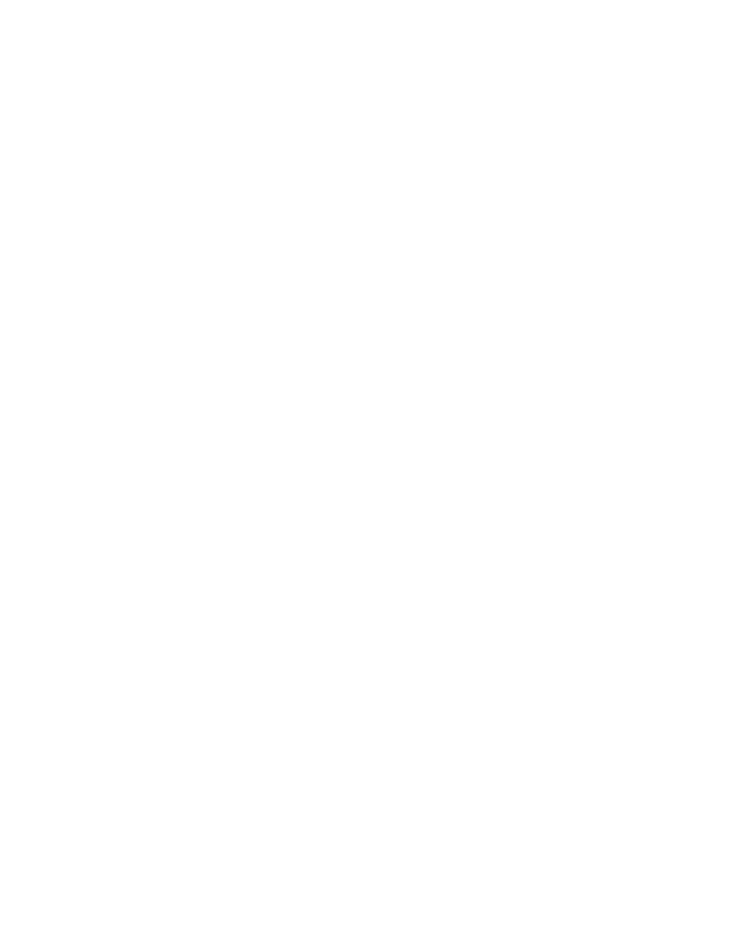 Logo blanc avec le texte 'Lamborghini' en cursive.