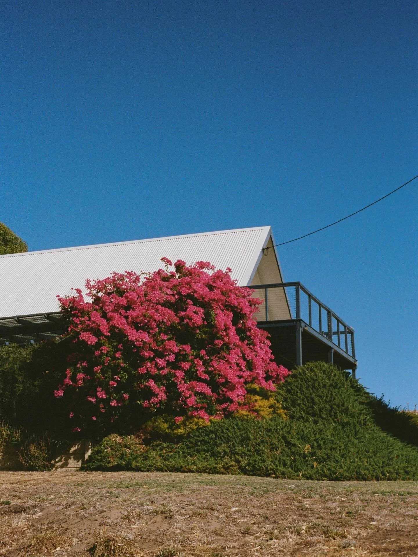 Two houses, I love houses

Portra 400/Pentax K-1000
Dev &amp; scan @focuspocuslab 

#beachhouse #perthphotography #portra400 #filmisnotdead #perthartist