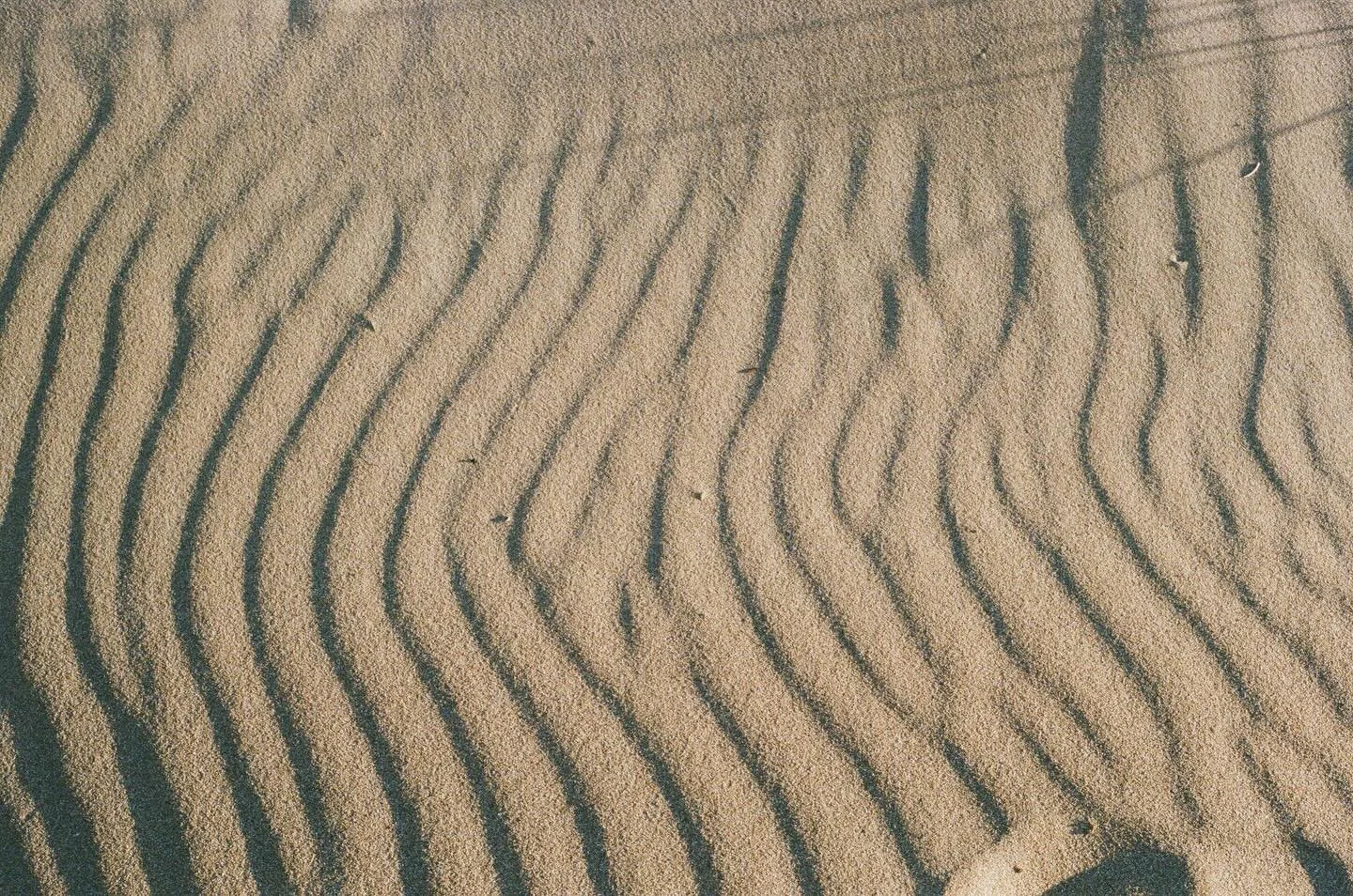 some images from something I&rsquo;m currently exploring

#perthphotographer #perthartist #perthart #perthisokay #australianphotographer 

dev &amp; scan, @focuspocuslab