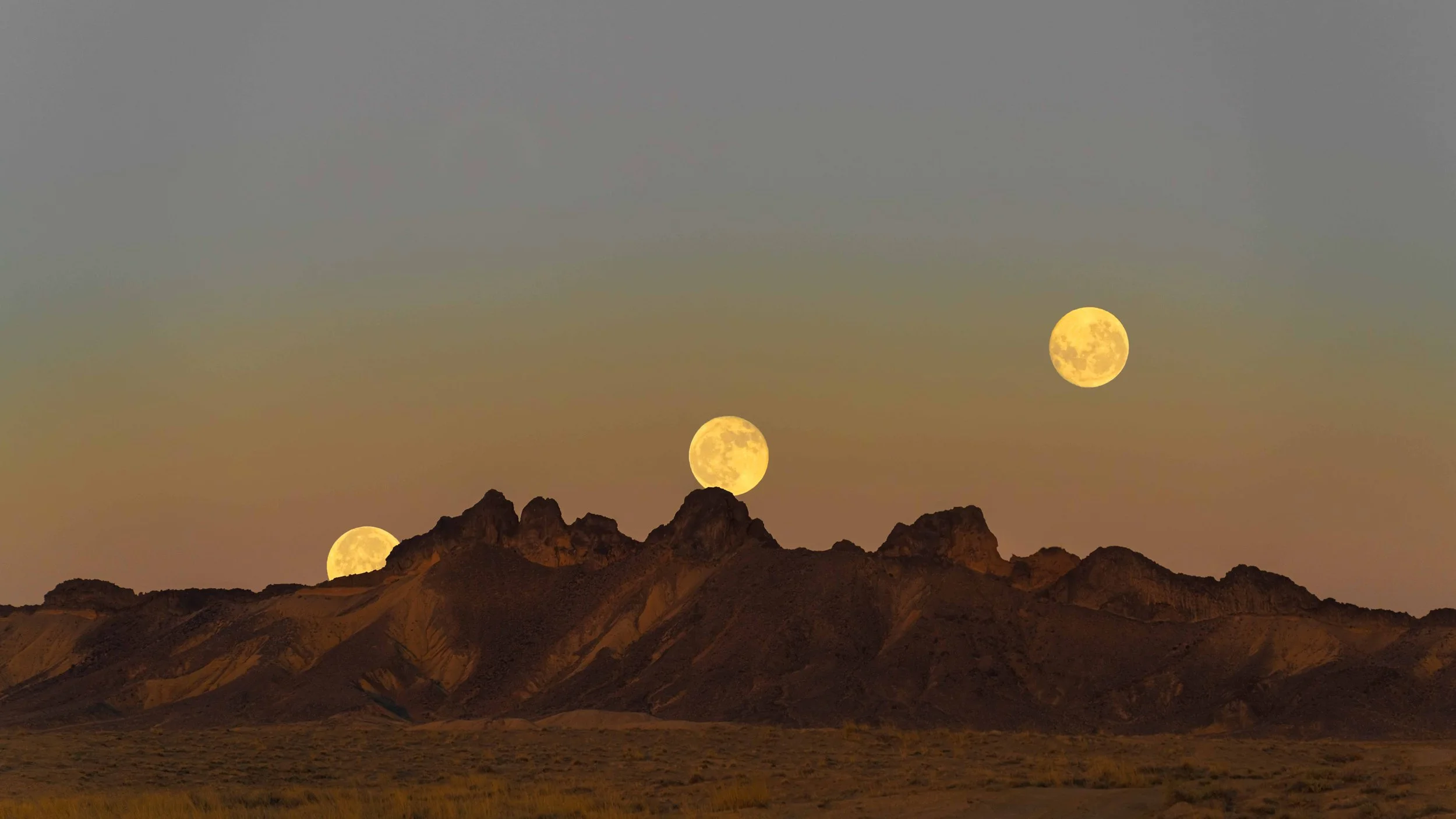 DSC06926-1 copie.jpg