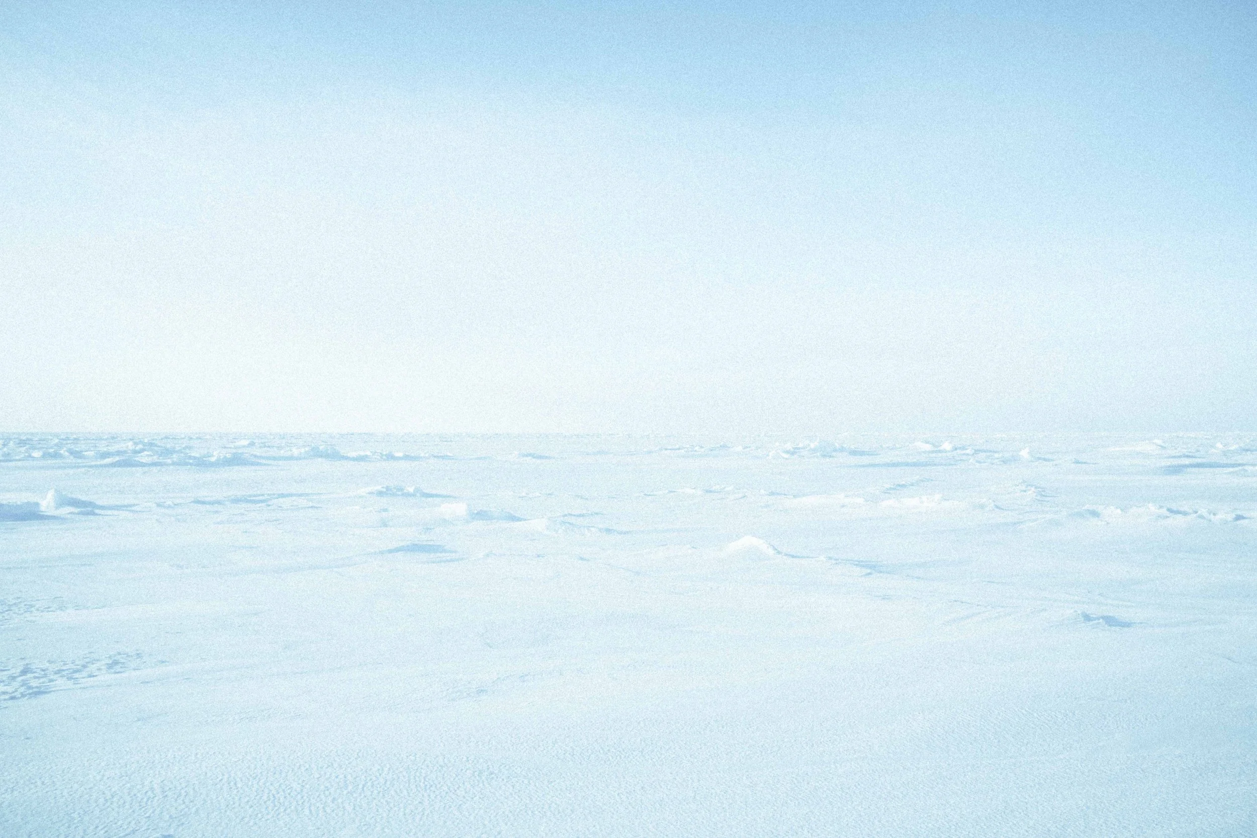 DSC04308 copy_1low res.jpg