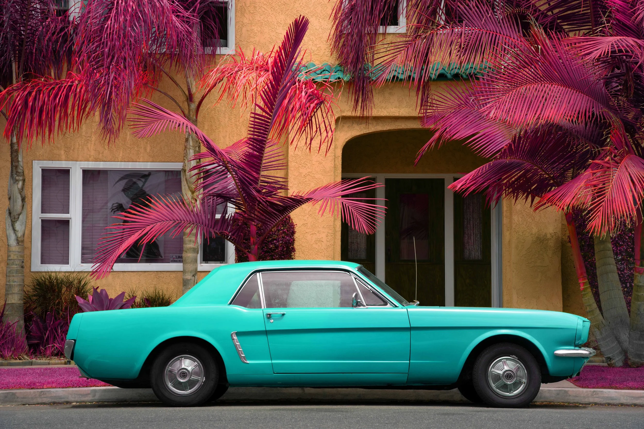 the reaper low res.jpg