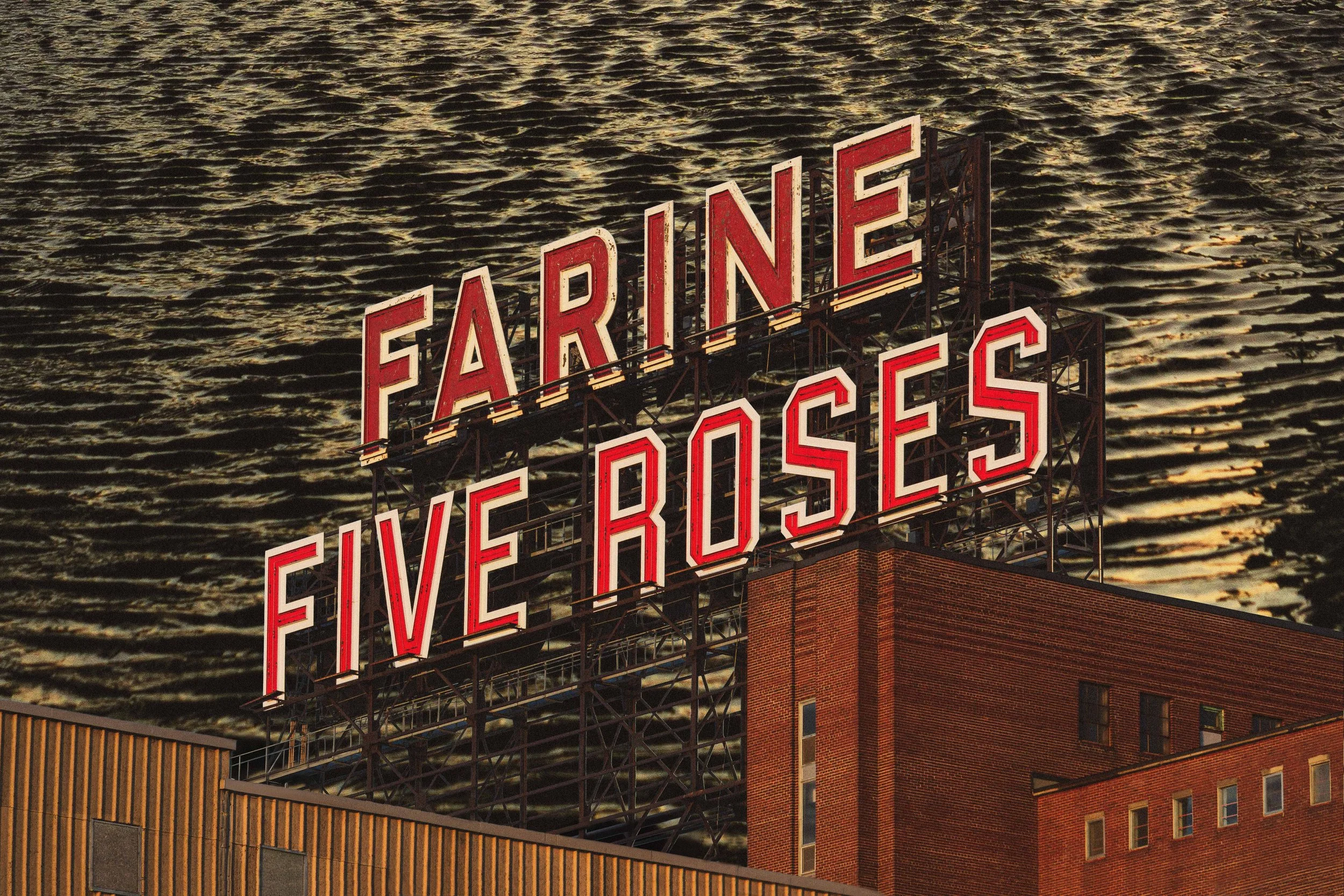 peté five rose edit expo VRAI FINAL.jpg