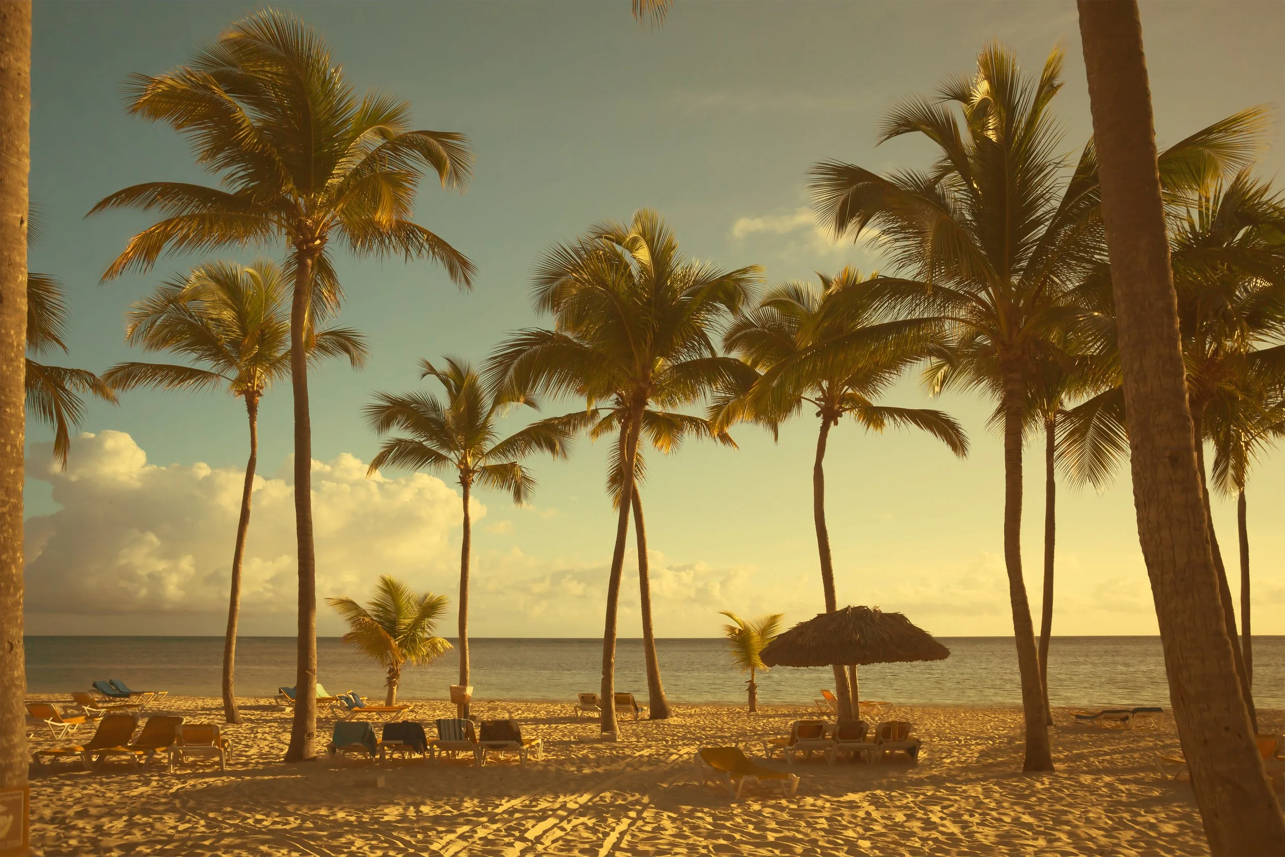 Tropical beach scene with palm trees, sandy beach, lounge chairs, thatched hut, ocean in the background, and a partly cloudy sky.