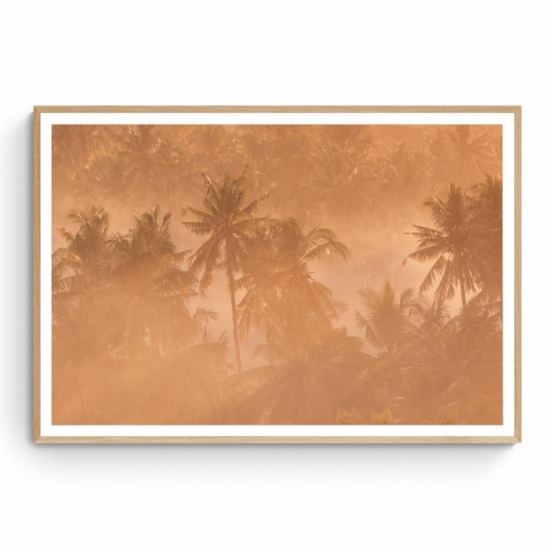Print 3
