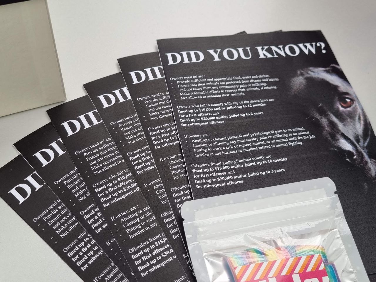 This booth focused on raising awareness about animal cruelty through clear, educational visuals. Informational boards were designed to highlight key facts and legal responsibilities in an accessible, straightforward way, encouraging viewers to pause,