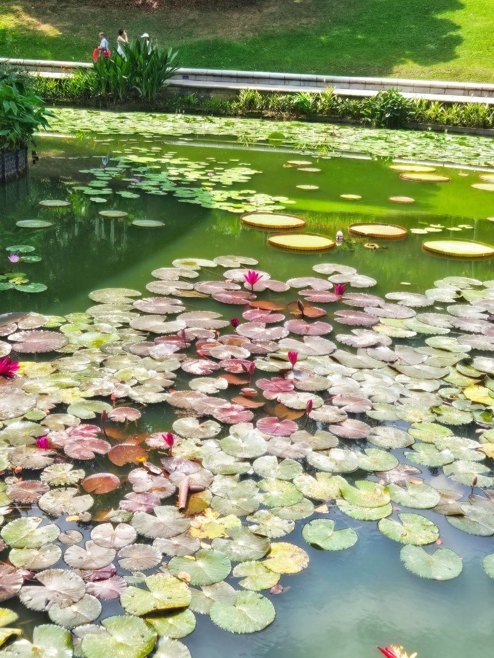 photo_2026-01-23_00-48-51 (2).jpg