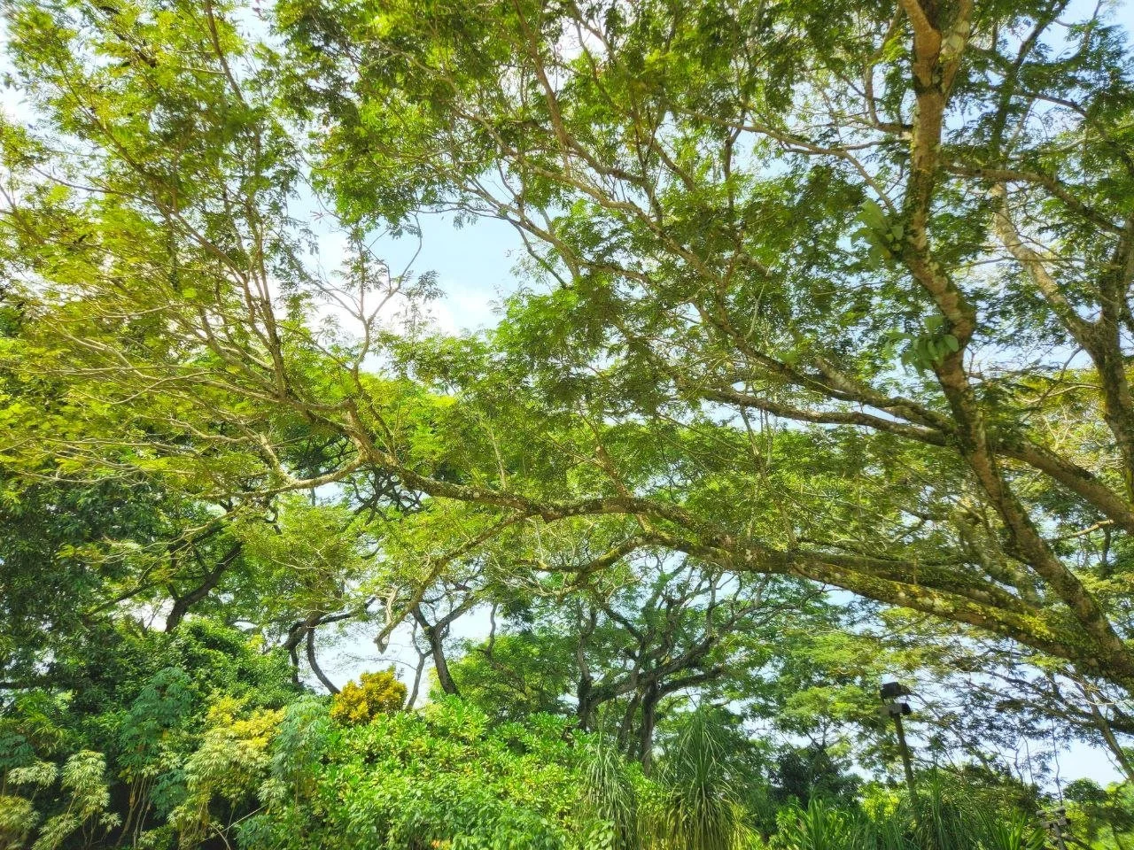 photo_2026-01-23_00-48-51 (4).jpg