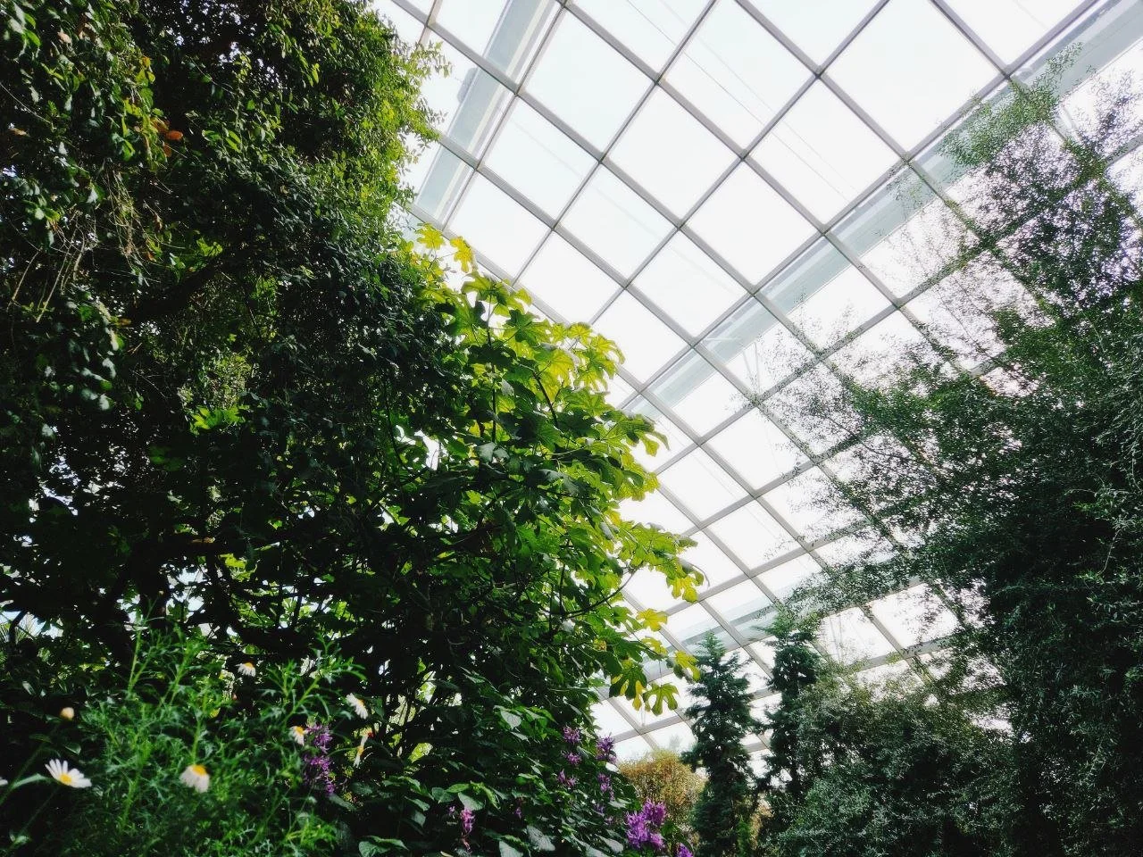 photo_2026-01-23_00-48-52 (6).jpg