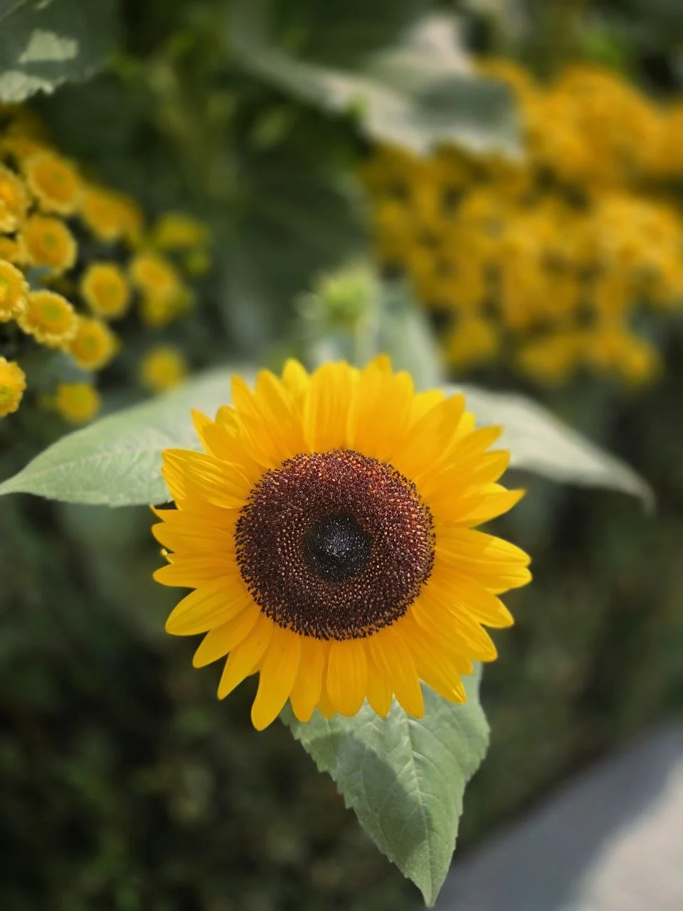 photo_2026-01-23_00-48-52 (3).jpg