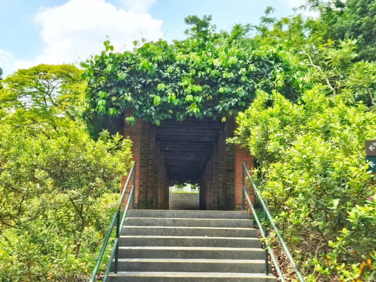 photo_2026-01-23_00-48-51 (3).jpg