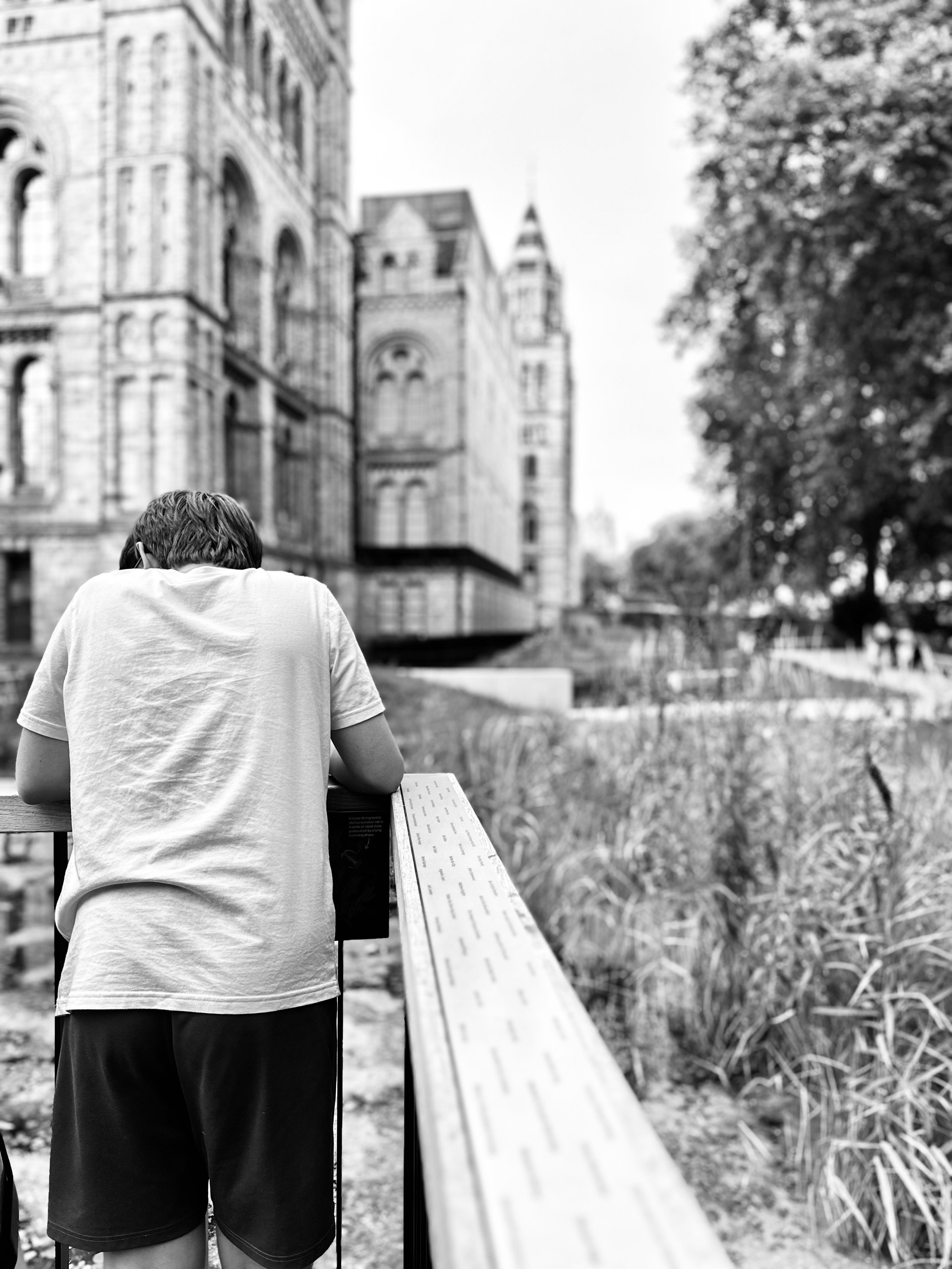 Natural History Museum Gardens : A Place To Pause In London.
