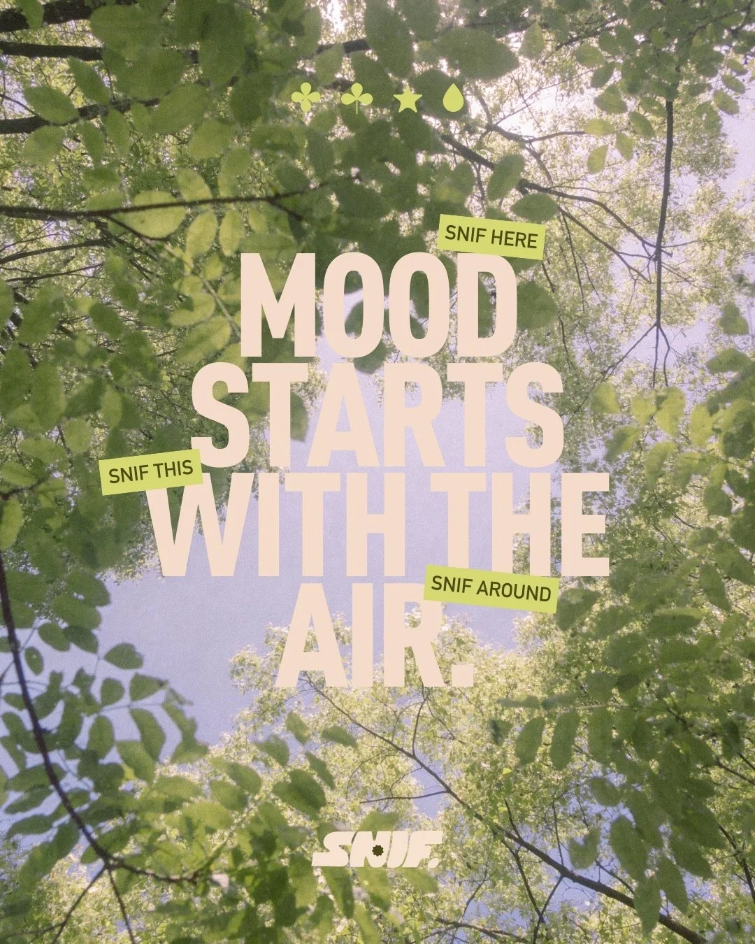 Een foto van de lucht gezien door groene bladeren van bomen met een tekst die zegt 'MOOD STARTS WITH THE AIR' en kleine gele labels met teksten 'SNIF HERE', 'SNIF THIS' en 'SNIF AROUND'.