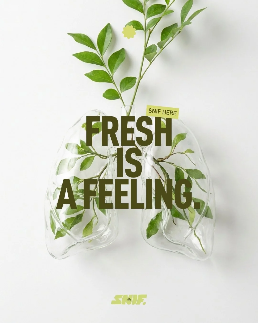 roomspray, reed diffuser, electric diffuser, home scent, lifestyle product, scent marketing,  geurmarketing, geurstokjes, snif , snif.be