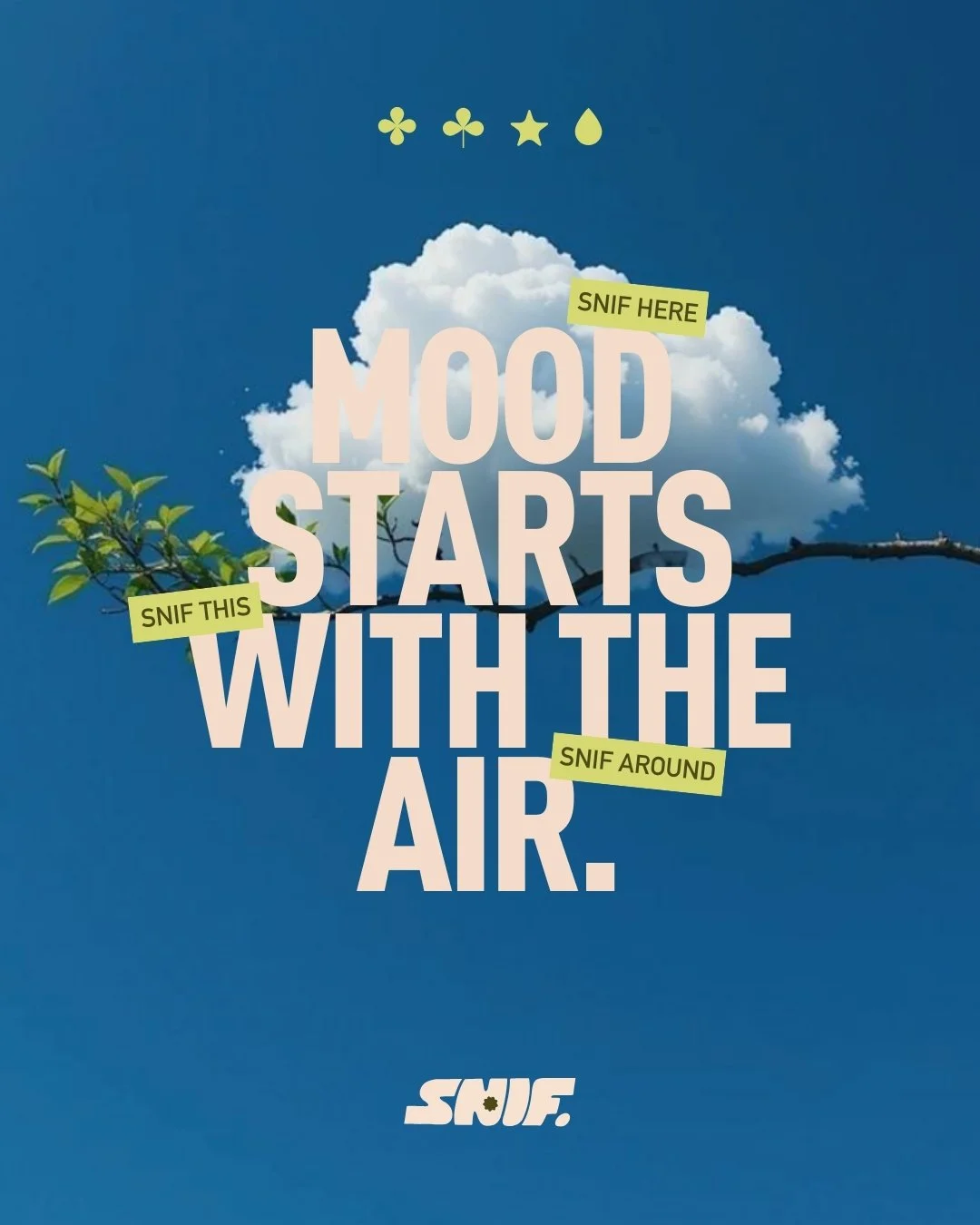 roomspray, reed diffuser, electric diffuser, home scent, lifestyle product, scent marketing,  geurmarketing, geurstokjes, snif , snif.be