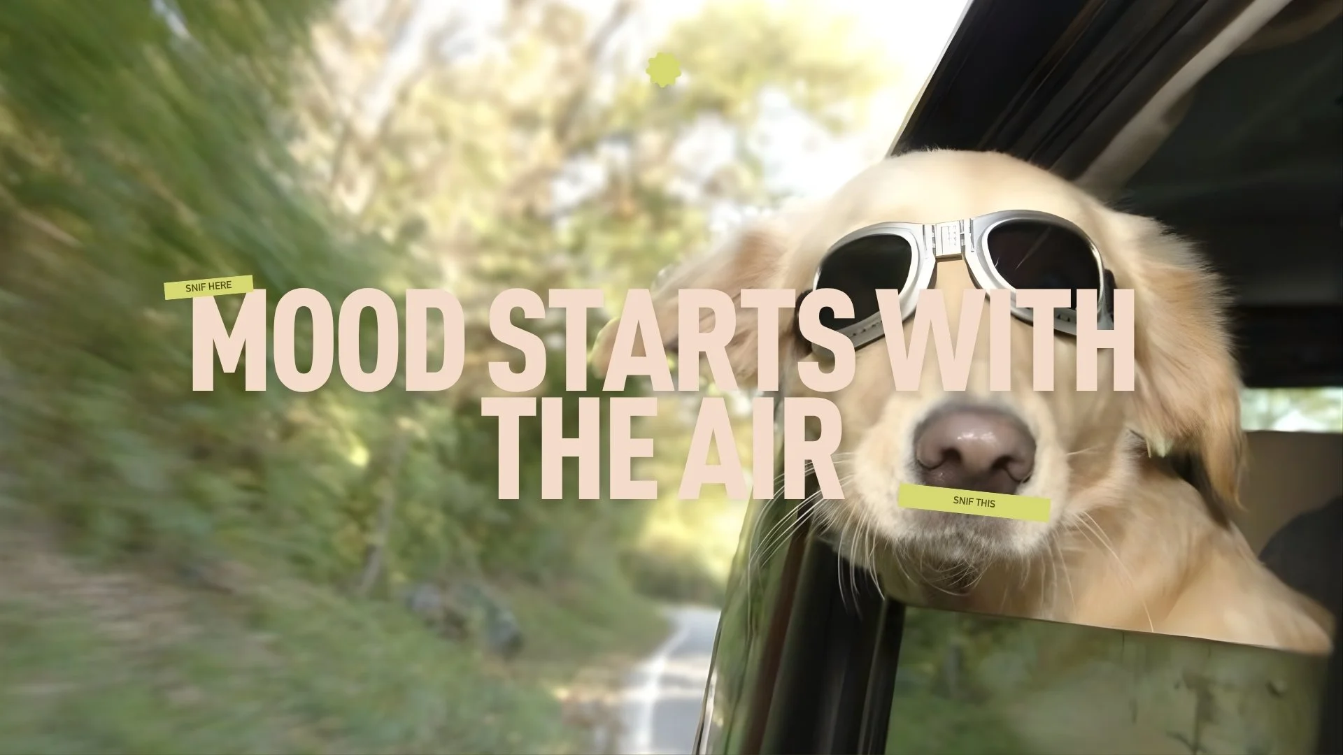 Een foto van een hond met zonnebril die uit een auto kijkt op een weg met bomen eromheen, met tekst die zegt 'Mood starts with the air' en kleine tekstballonnen 'Snif here' en 'Snif this'.