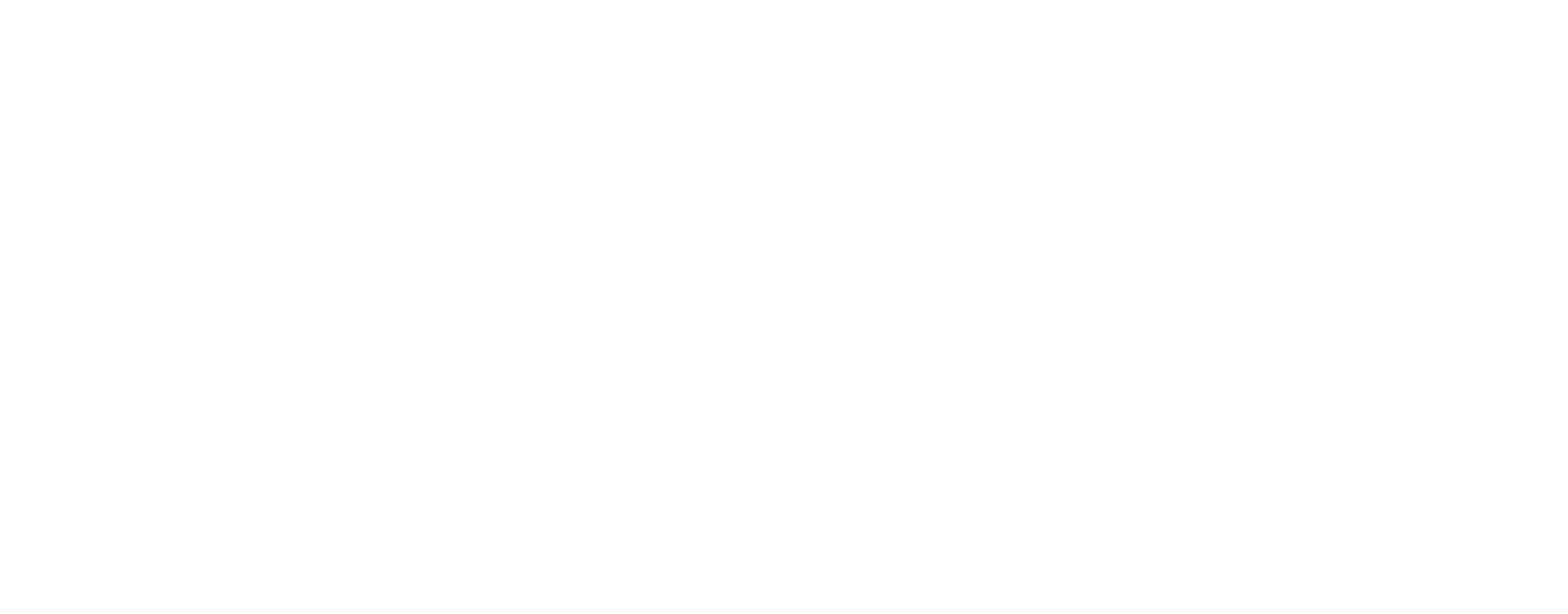 Novion