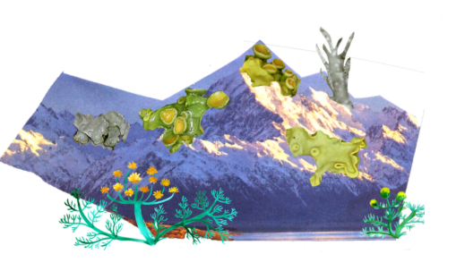 A collage style image showing a mountain range with images of various plants cut out and overlaid.