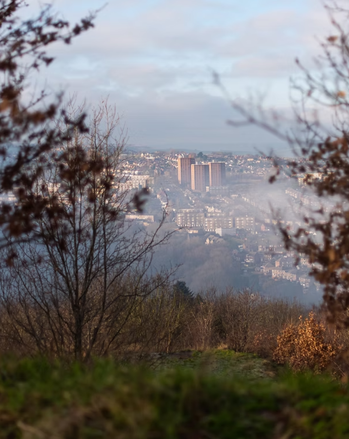 Sheffield Demonstrators