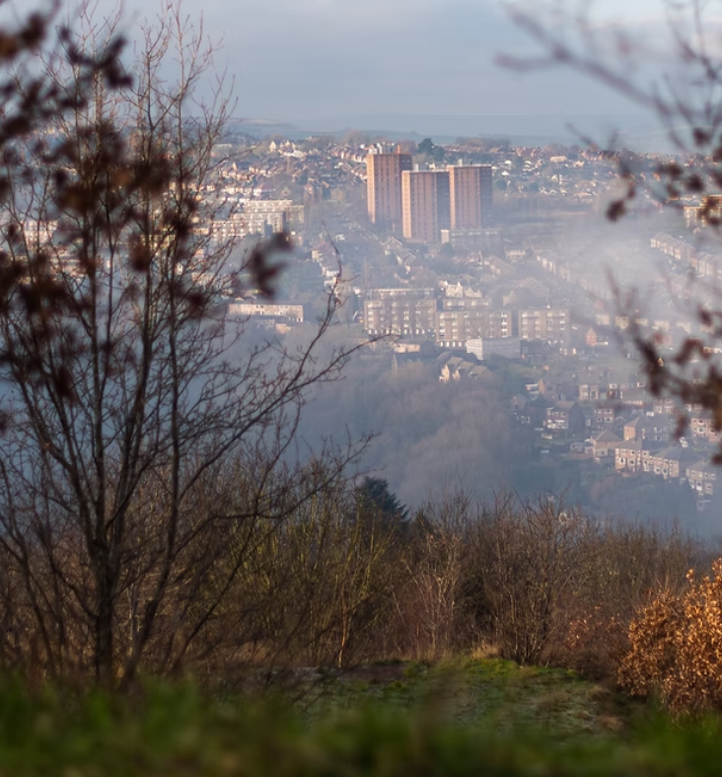 Learn Sheffield Resources