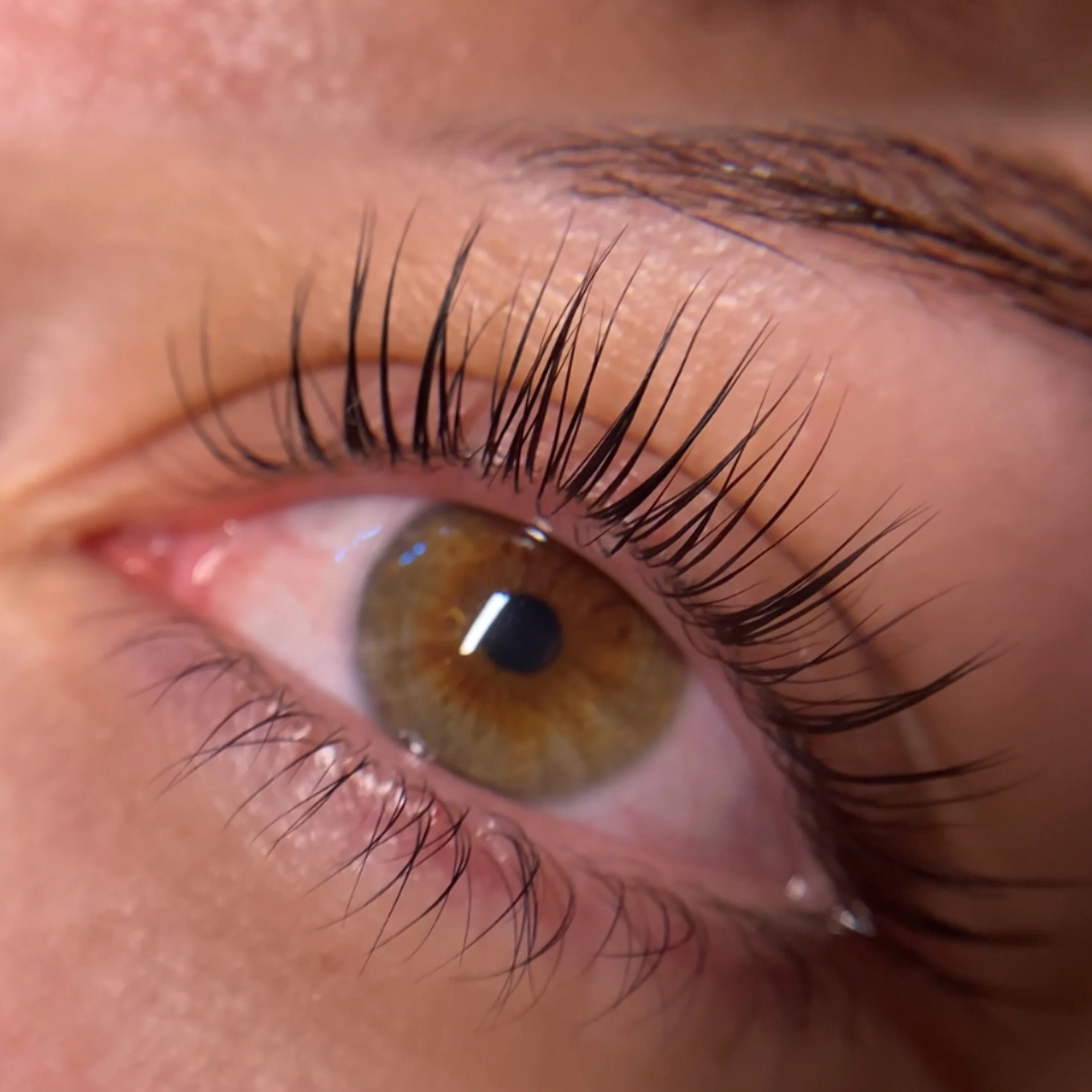Korean Lash Lift