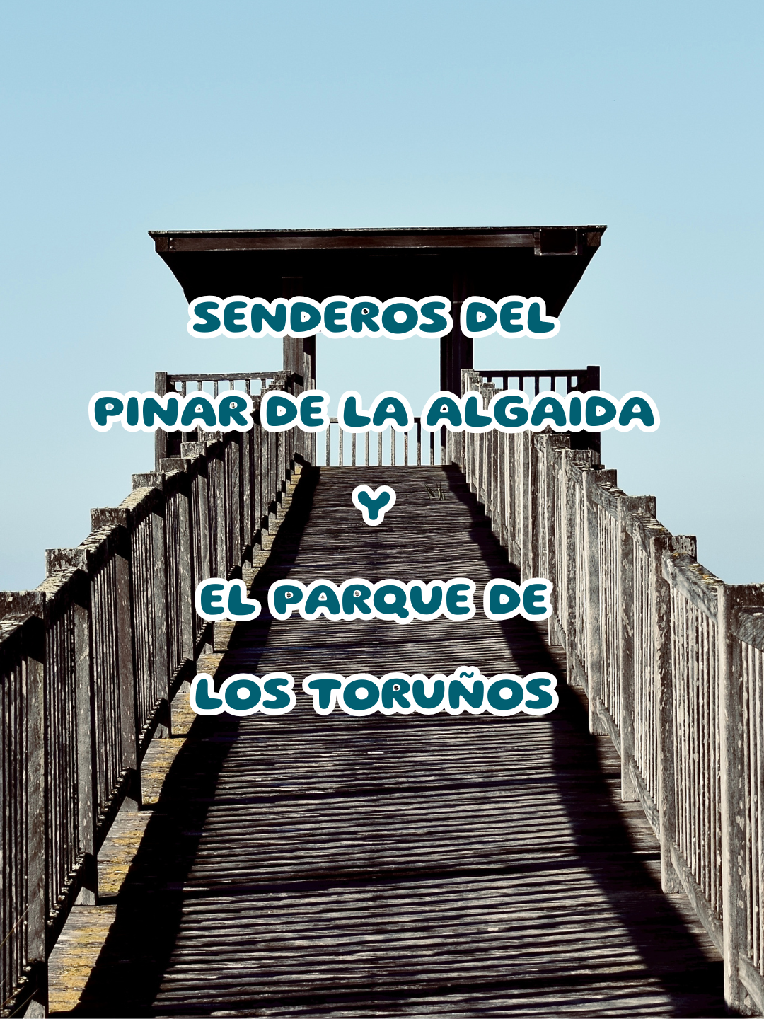 Recorre los senderos del Pinar de la Algaida y el Parque de los Toruños